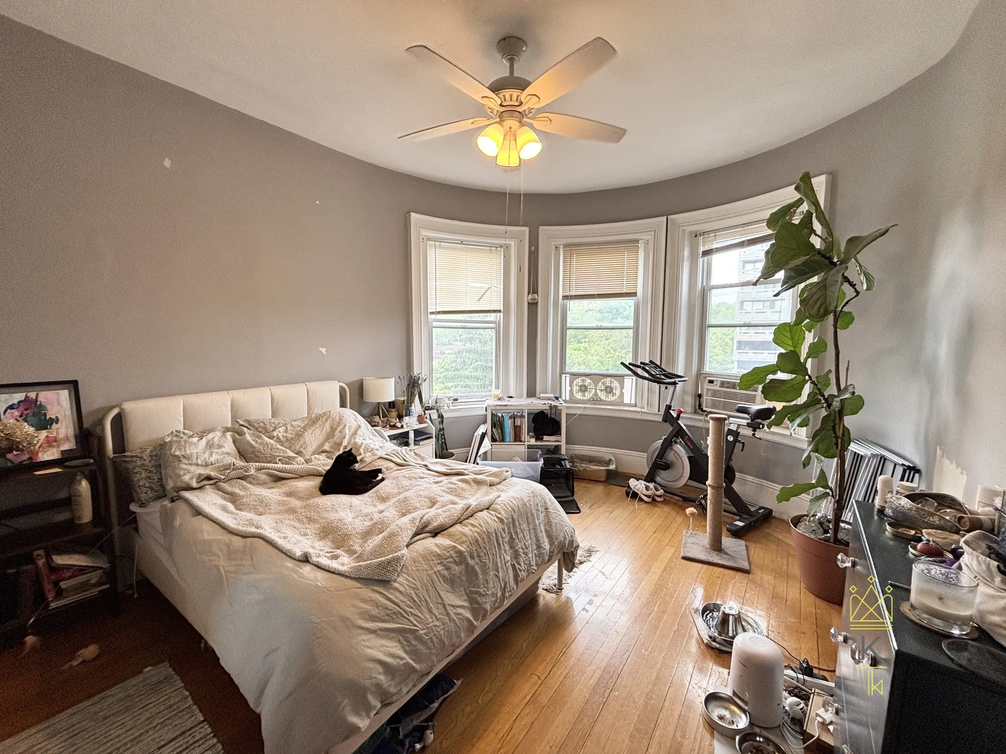 1 bed, 1 bath apartment for rent at 1477 Beacon St Unit 043, Griggs Park