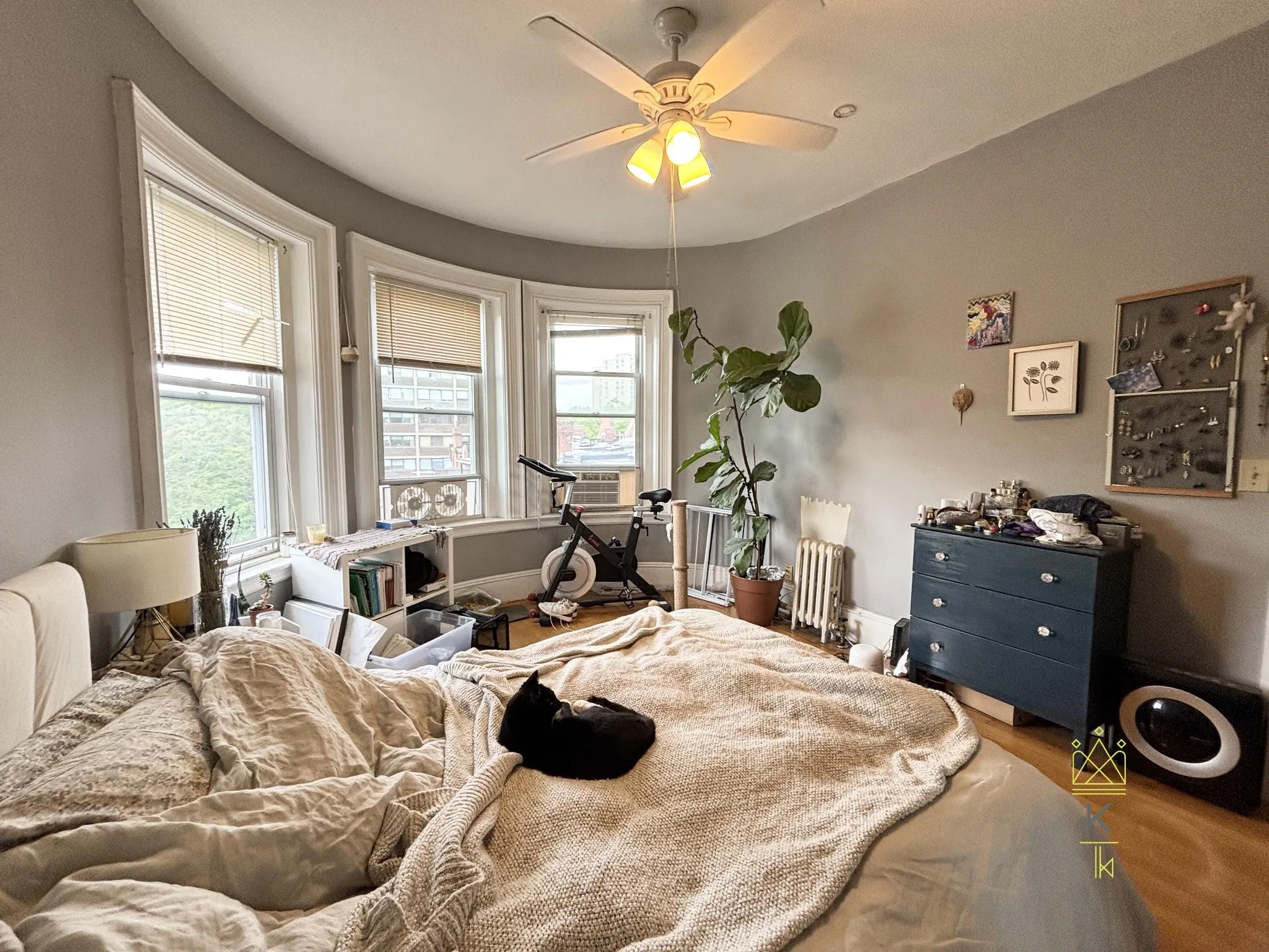 1 bed, 1 bath apartment for rent at 1477 Beacon St Unit 043, Griggs Park — photo 2 of 13