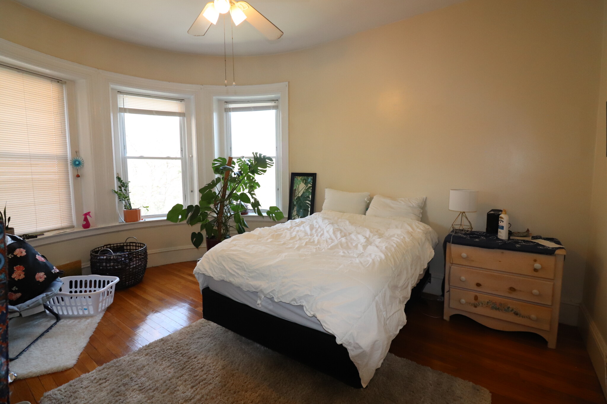 1 bed, 1 bath apartment for rent at 1477 Beacon St Unit 8, Griggs Park — photo 1 of 15