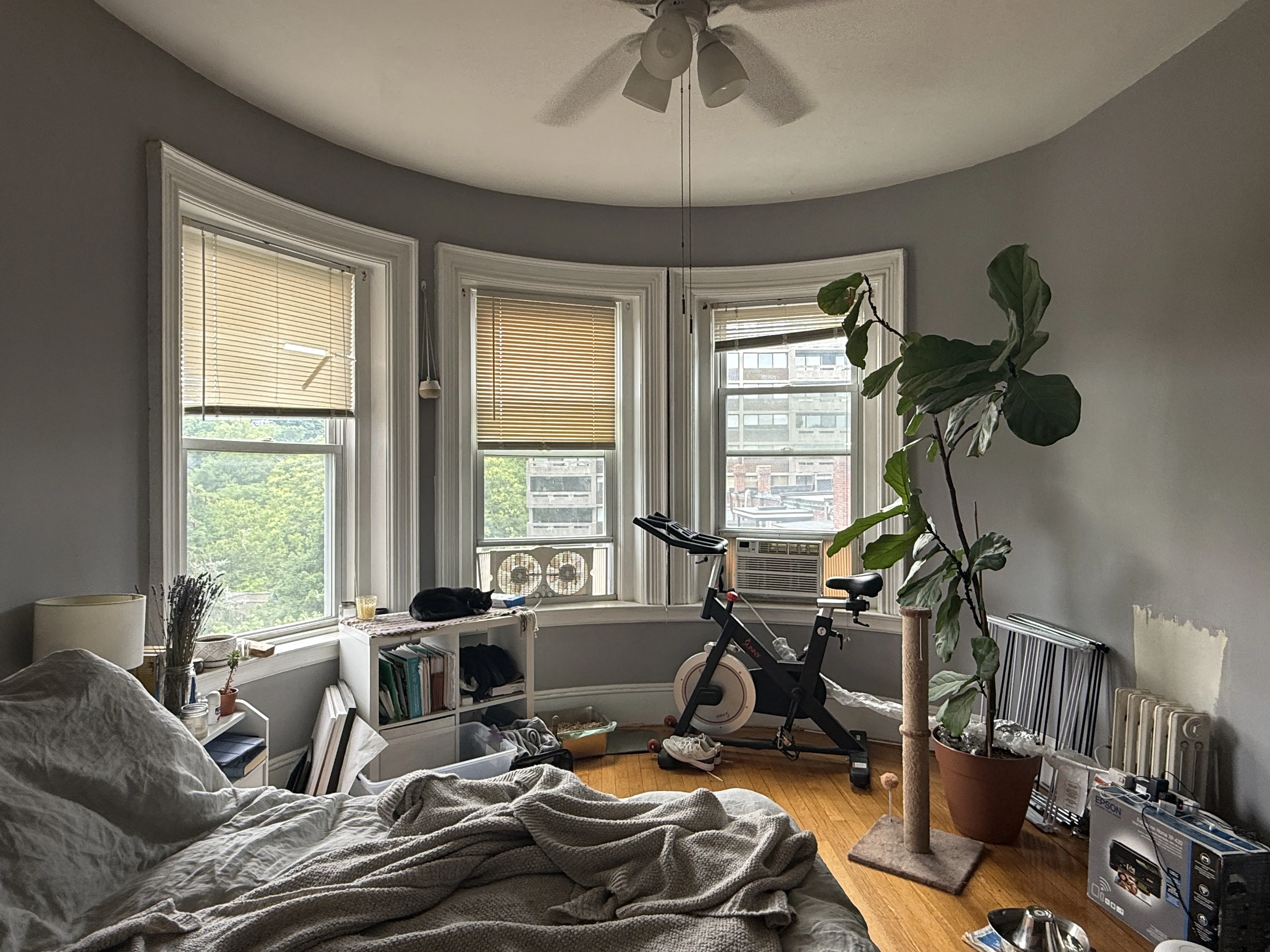 1 bed, 1 bath apartment for rent at 1478 Beacon St Unit 43, Corey Hill — photo 4 of 8
