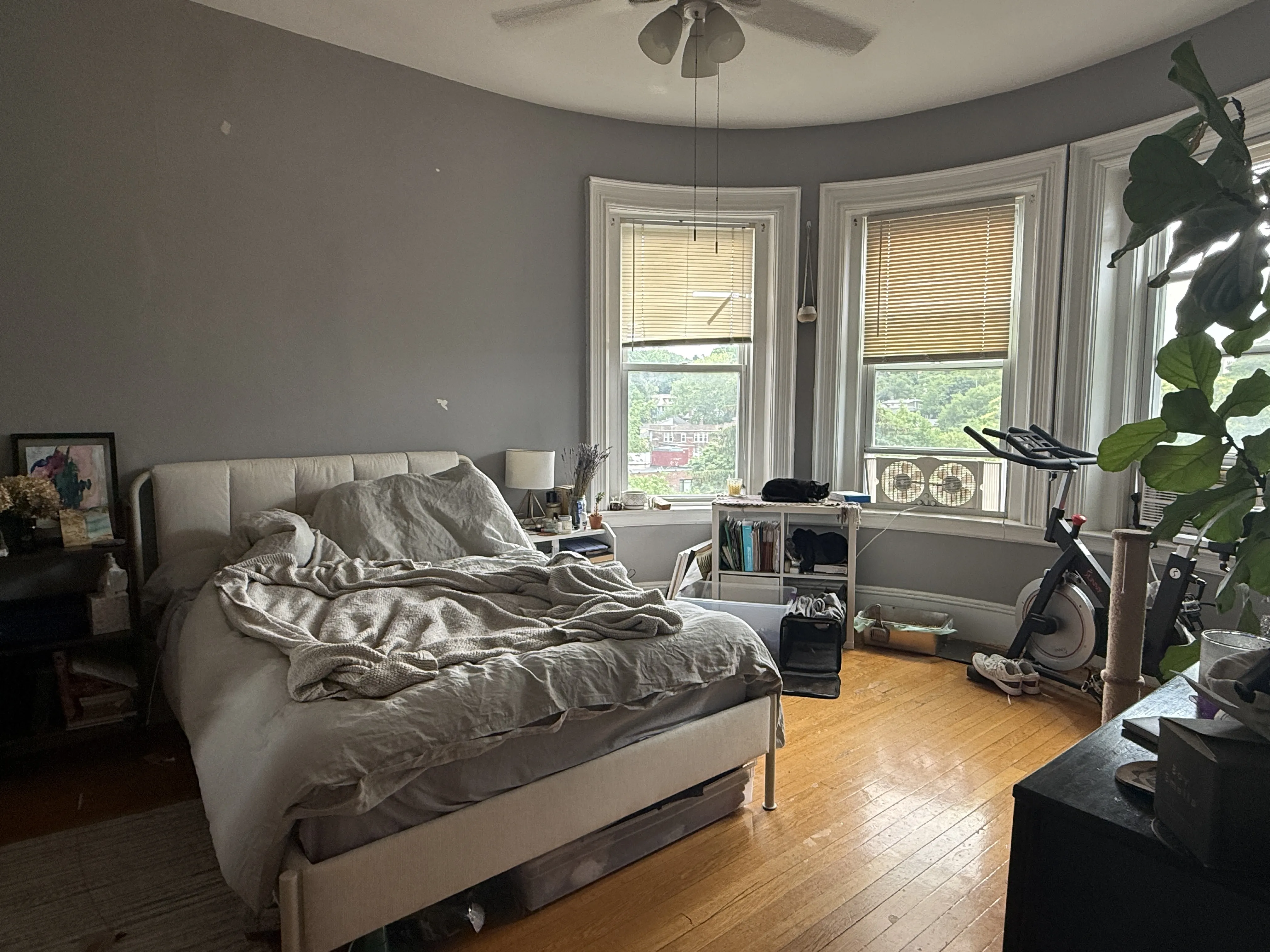 1 bed, 1 bath apartment for rent at 1478 Beacon St Unit 43, Corey Hill — photo 5 of 8