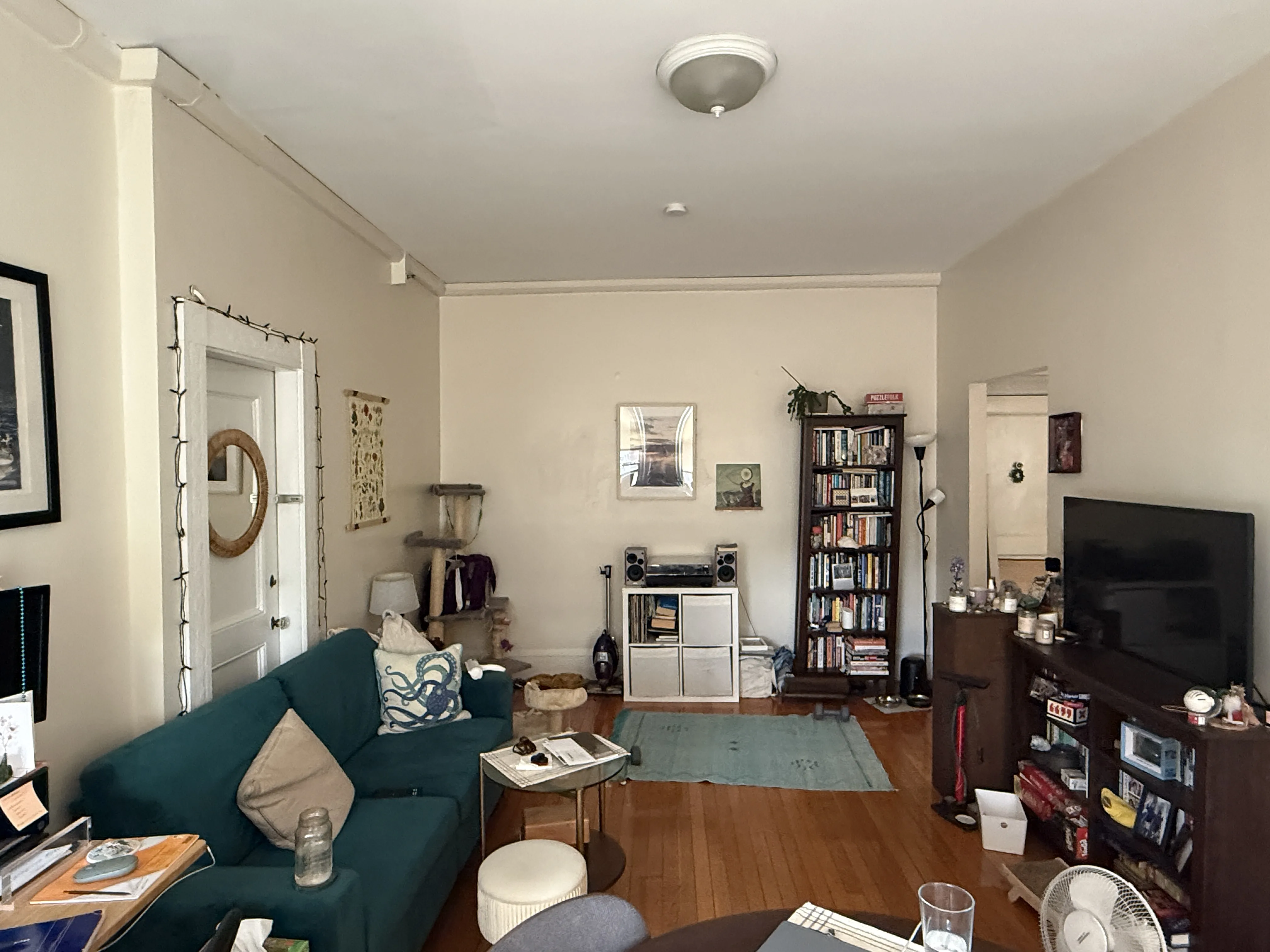 1 bed, 1 bath apartment for rent at 1478 Beacon St Unit 43, Corey Hill — photo 1 of 8