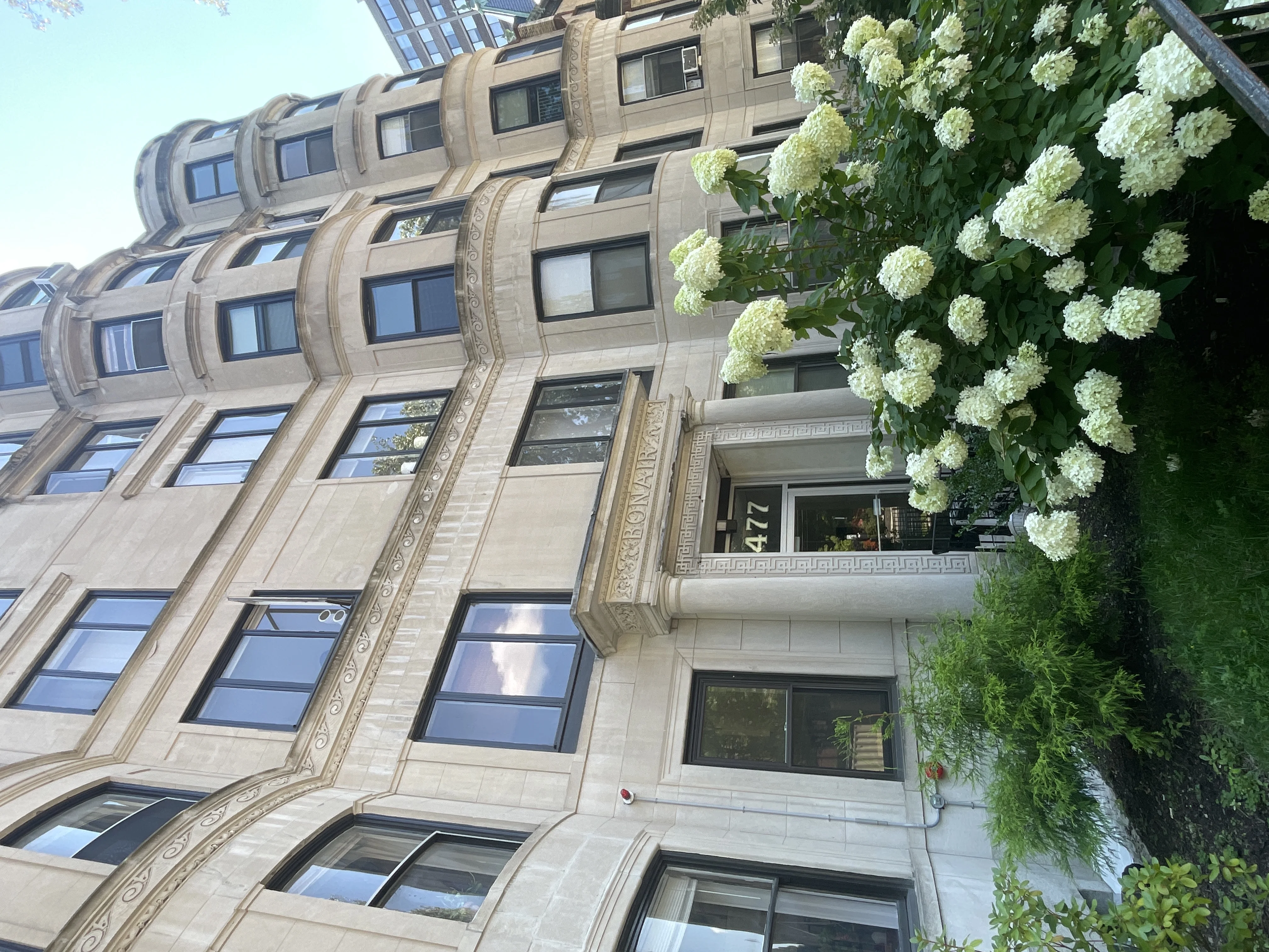 1.5 bed, 1 bath apartment for rent at 1478 Beacon St Unit 45, Corey Hill — photo 12 of 12