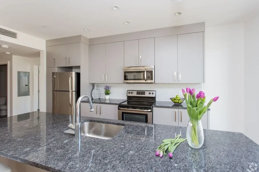 Studio bed, 1 bath apartment for rent at 1480 Tremont St Unit W-206, Mission Hill — photo 11 of 12