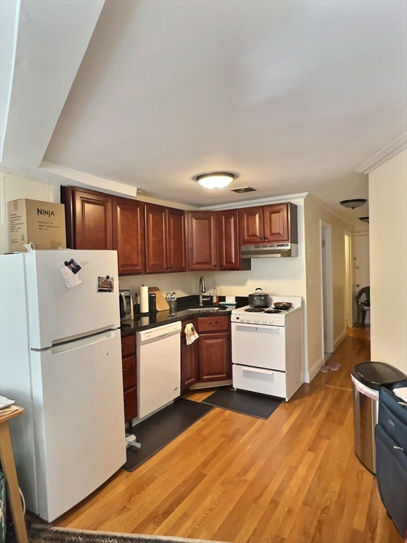 Studio bed, 1 bath apartment for rent at 1482 Beacon St Unit B1, Corey Hill — photo 1 of 4