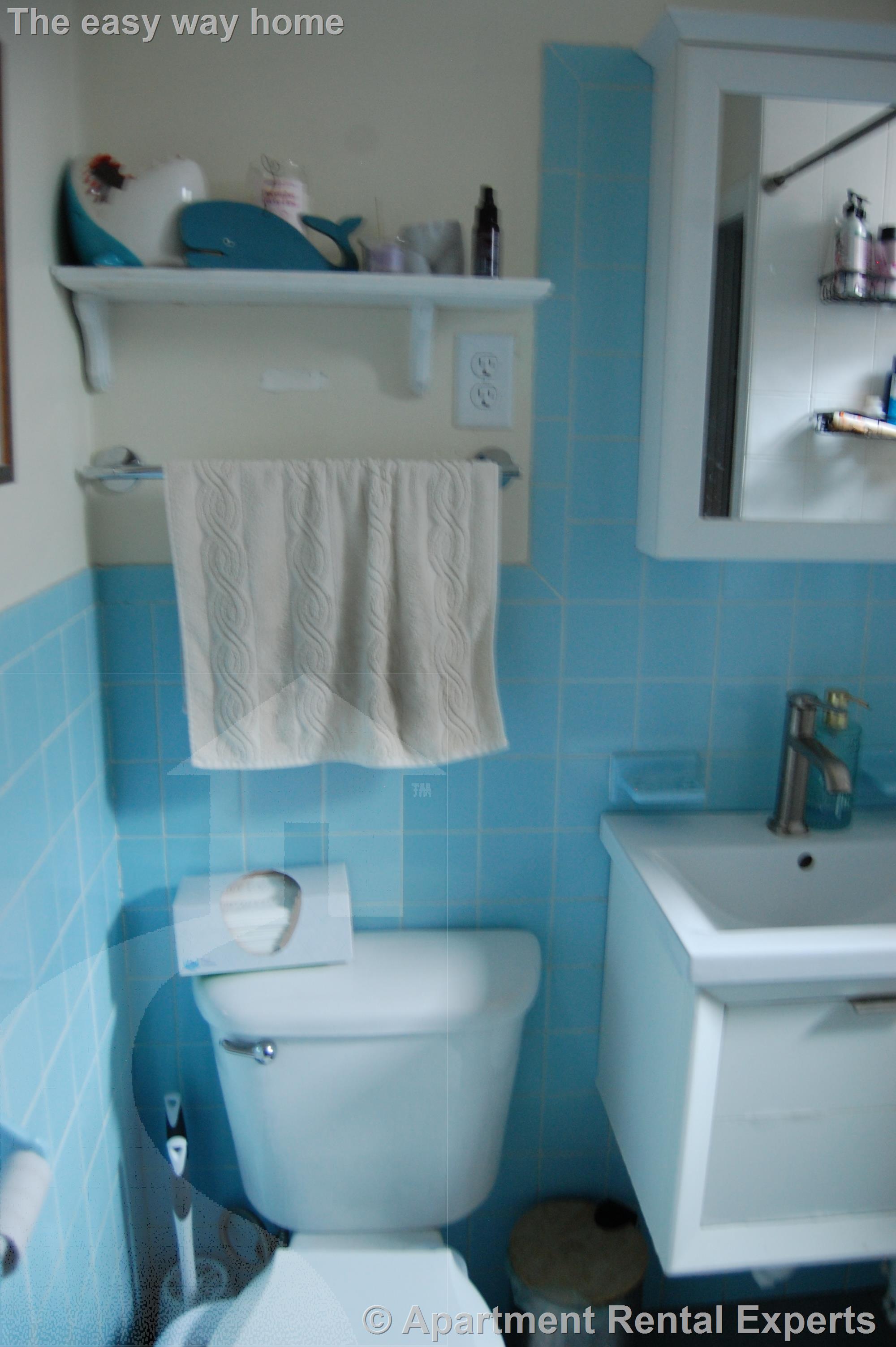 4 bed, 1 bath apartment for rent at 14A Cottage Ave Unit 2, Davis Square — photo 13 of 21