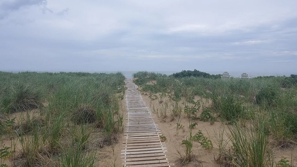 4 bed, 2 bath apartment for rent at 15 49th St Unit WINTER, Plum Island — photo 22 of 25