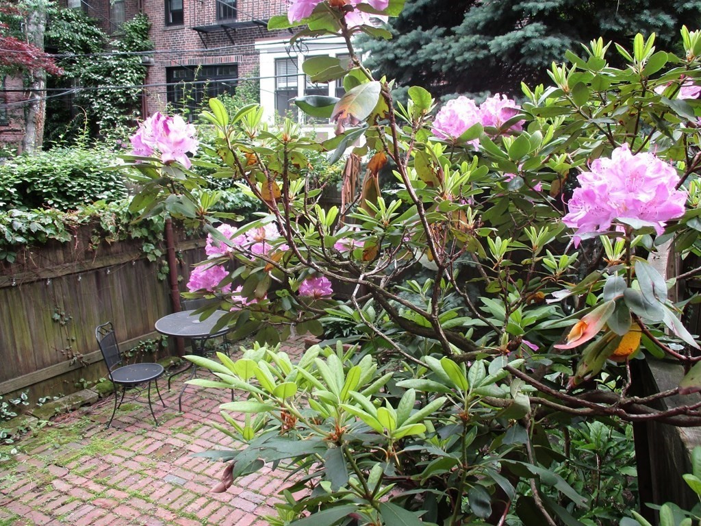 Studio bed, 1 bath apartment for rent at 15 Appleton St Unit A (No Fee), South End — photo 17 of 25