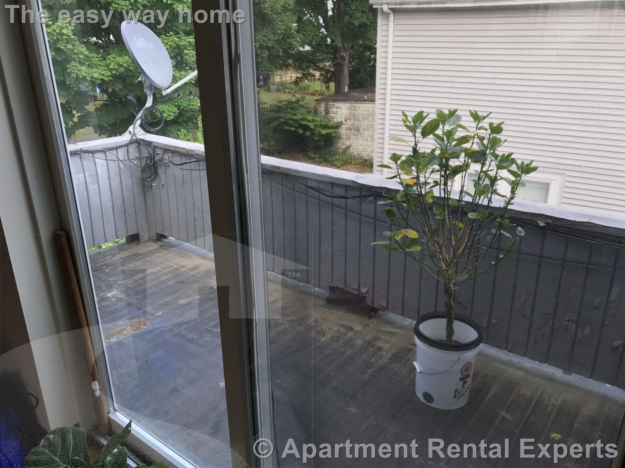 2 bed, 1 bath apartment for rent at 15 Auburn Ave Unit 2, East Somerville — photo 18 of 18