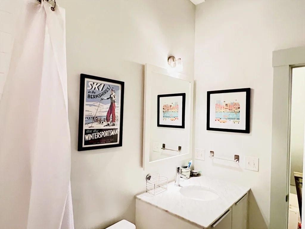 2 bed, 2 bath apartment for rent at 15 Boardman St Unit 1A, Central Square — photo 12 of 33