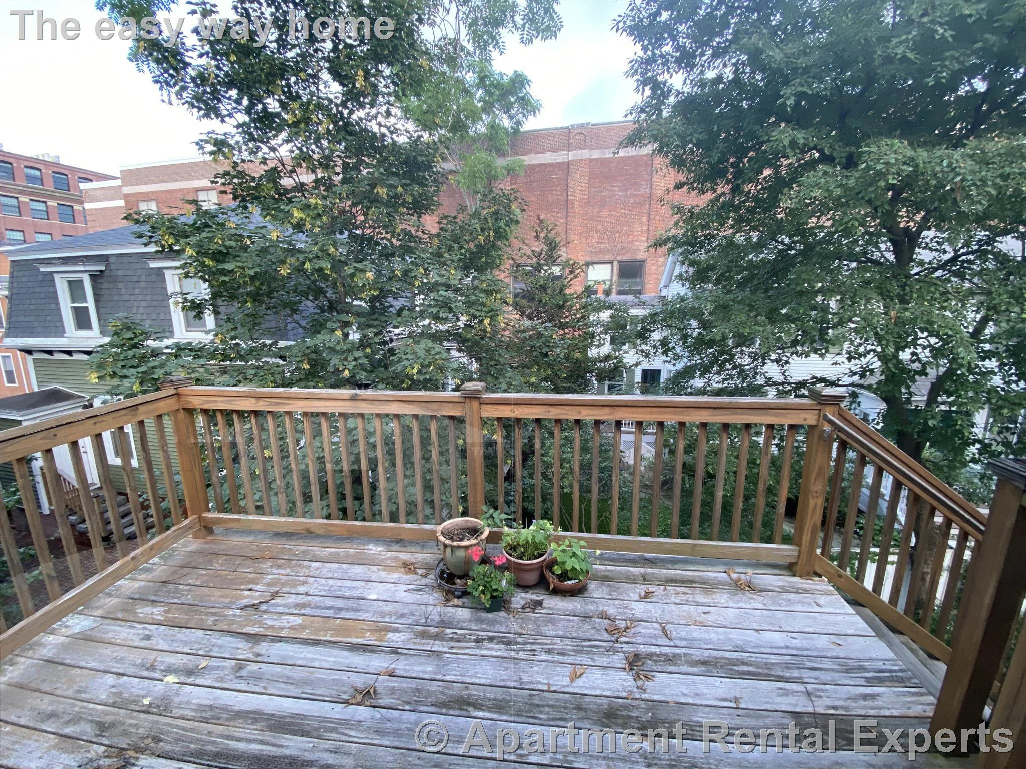 2 bed, 2 bath apartment for rent at 15 Boardman St Unit 2, Central Square — photo 13 of 13