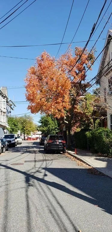 1 bed, 1 bath apartment for rent at 15 Carlton St Unit 3, Gilman Square — photo 7 of 7