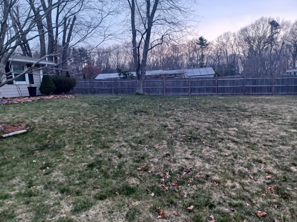 3 bed, 1 bath apartment for rent at 15 Cerel Circle Unit 1, Brockton — photo 5 of 25