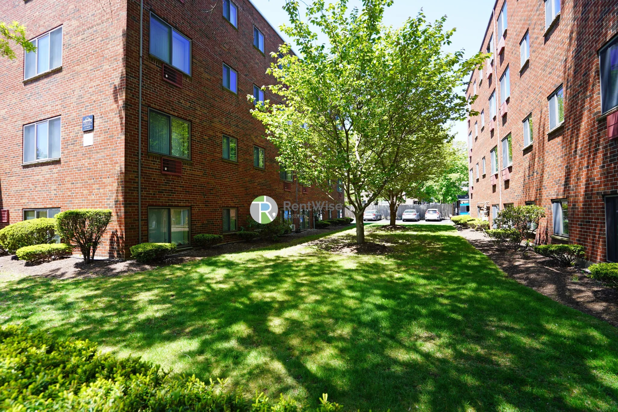 Studio bed, 1 bath apartment for rent at 15 Chester St Unit 5, North Cambridge — photo 2 of 5