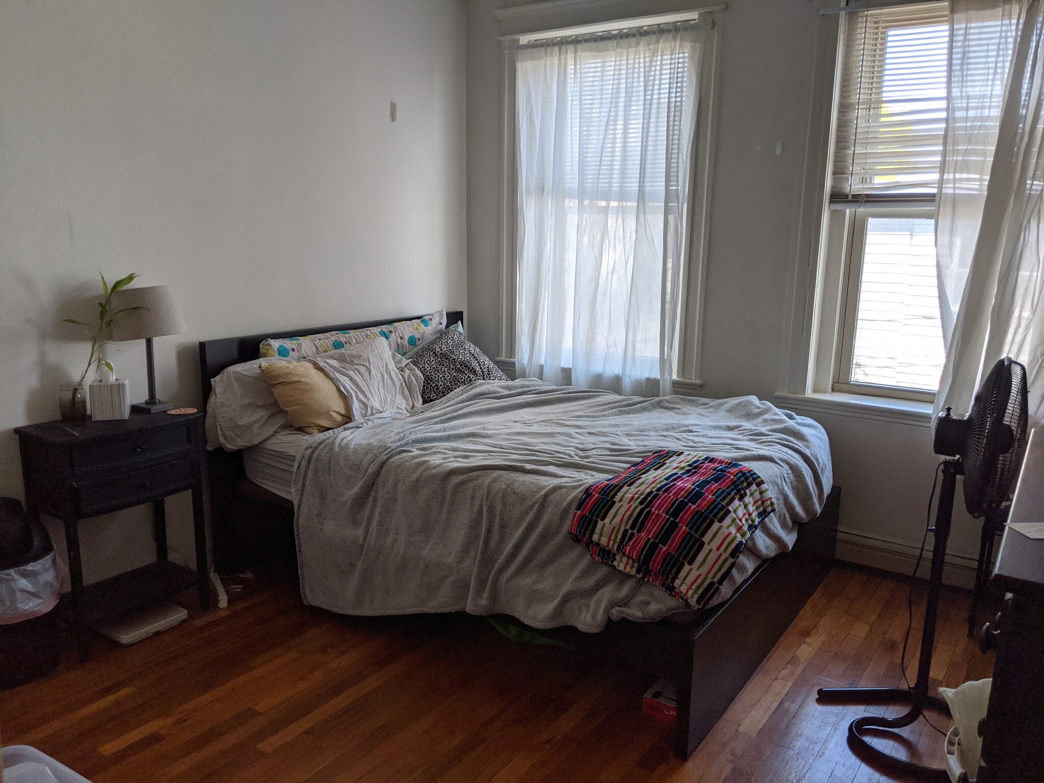 1 bed, 1 bath apartment for rent at 15 Colborne Rd Unit 16F, Brighton — photo 3 of 6