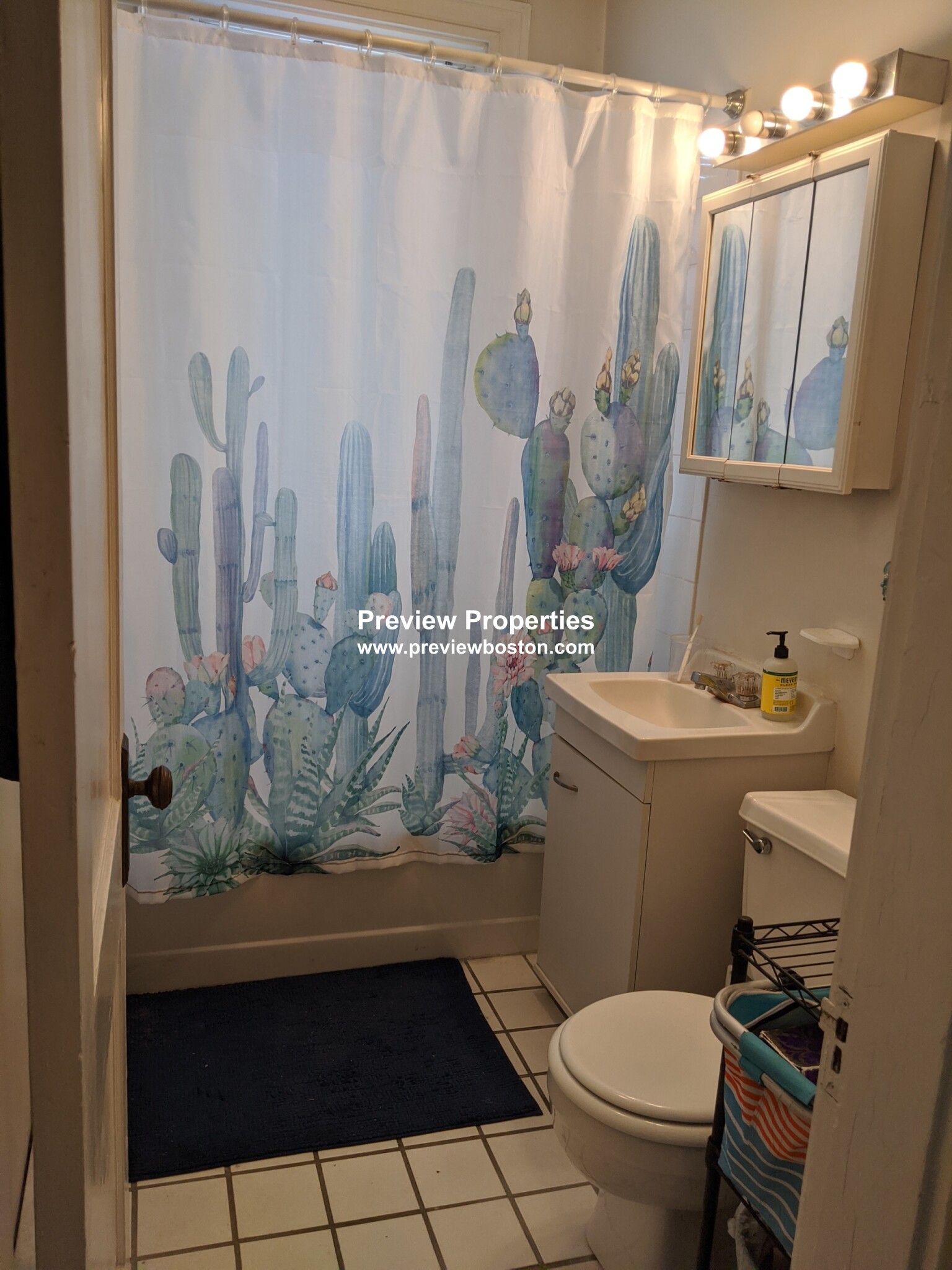 1 bed, 1 bath apartment for rent at 15 Colborne Rd Unit 16P, Brighton — photo 4 of 10