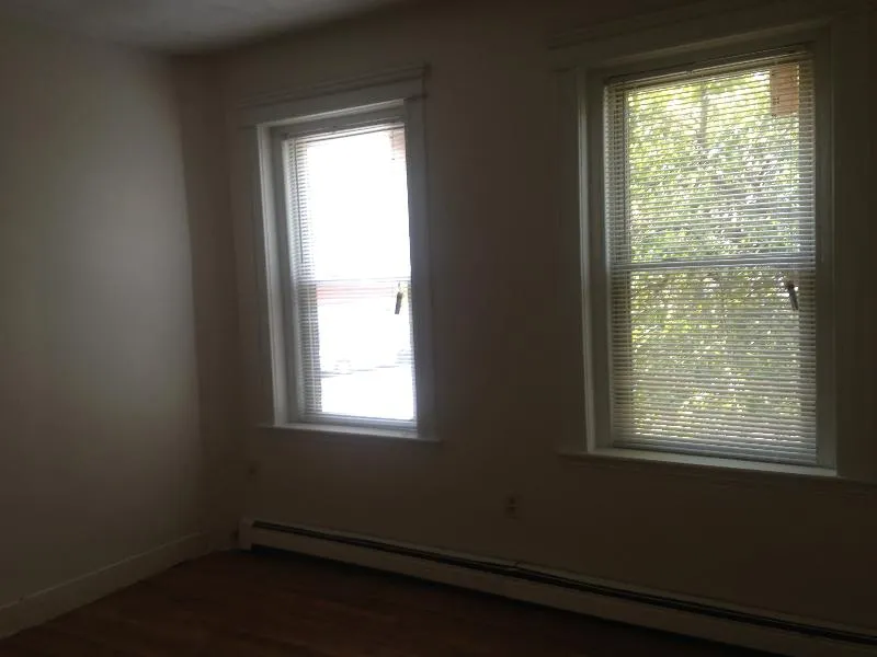Studio bed, 1 bath apartment for rent at 15 Colborne Rd Unit 5, Brighton — photo 4 of 6