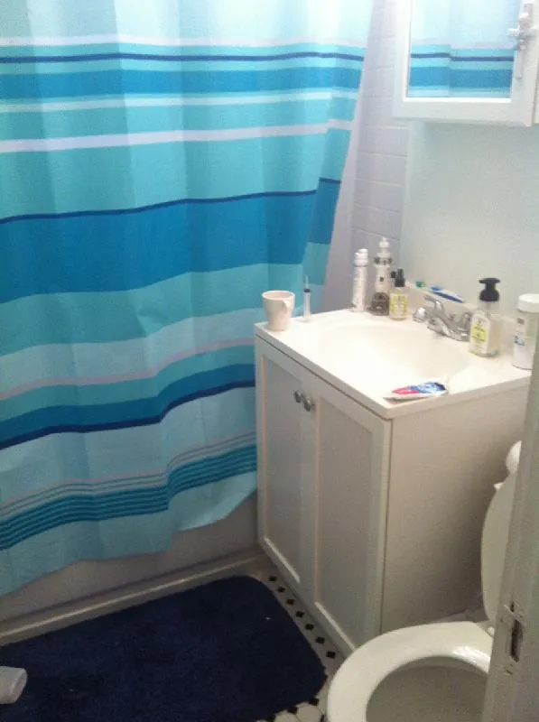 Studio bed, 1 bath apartment for rent at 15 Colborne Rd Unit 5, Brighton — photo 3 of 6