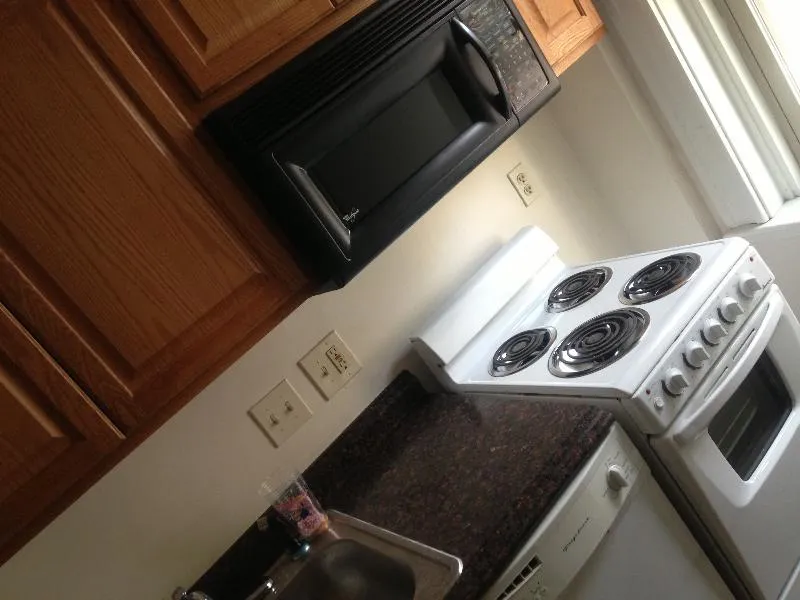 Studio bed, 1 bath apartment for rent at 15 Colborne Rd Unit 5, Brighton — photo 5 of 6