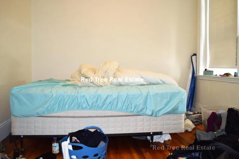 1 bed, 1 bath apartment for rent at 15 Egremont Rd Unit 1, Brighton — photo 7 of 11