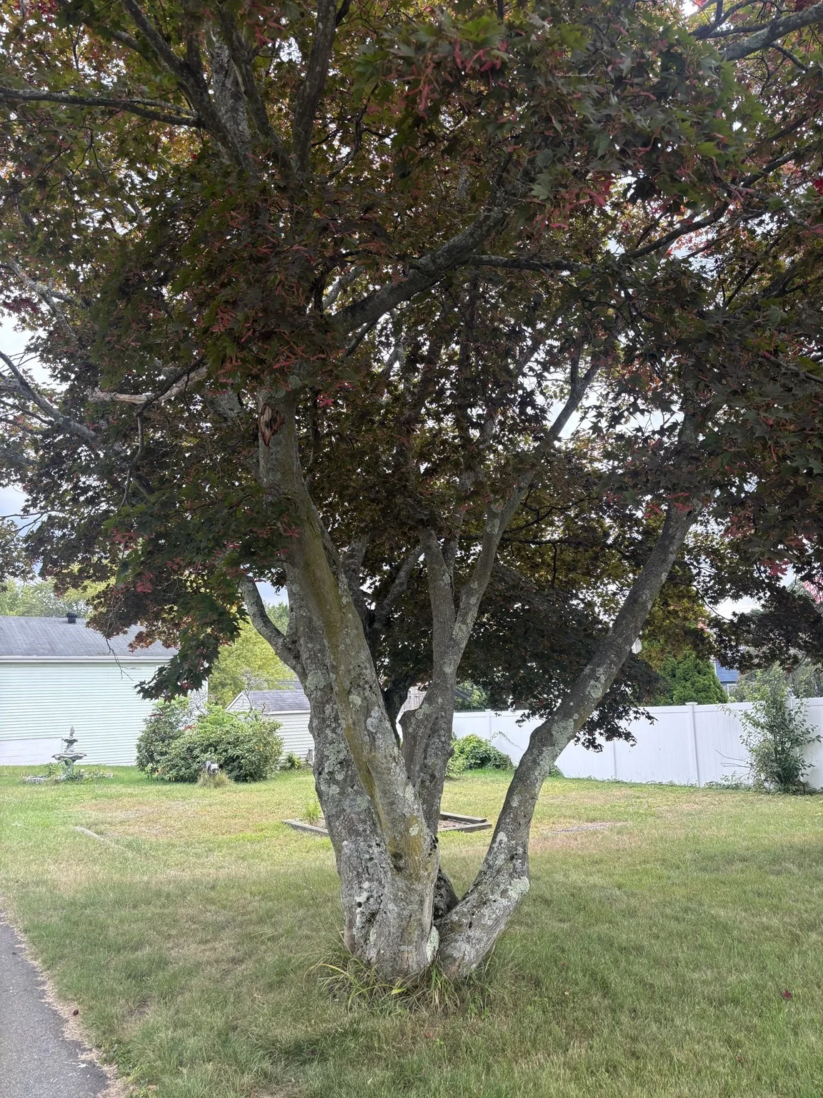 2 bed, 1 bath apartment for rent at 15 Euclid Ave Unit 2, Methuen — photo 8 of 9
