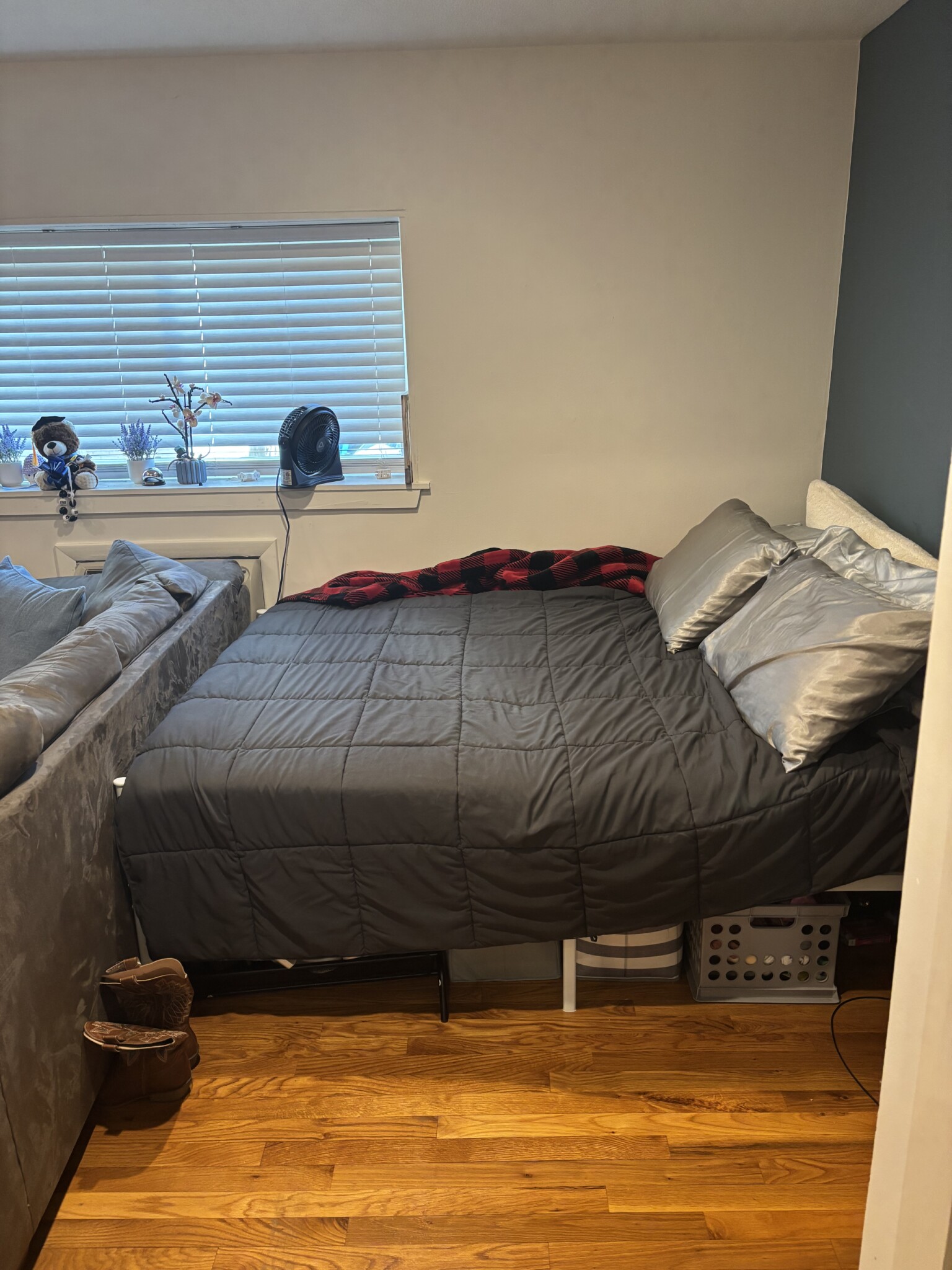 Studio bed, 1 bath apartment for rent at 15 Euston Rd Unit 11, Brighton — photo 19 of 34