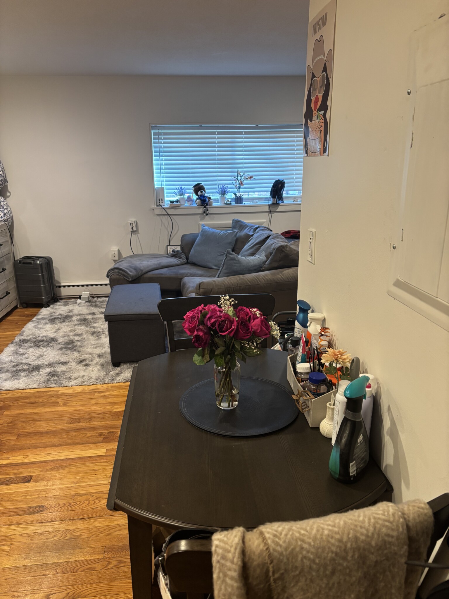 Studio bed, 1 bath apartment for rent at 15 Euston Rd Unit 11, Brighton — photo 15 of 34