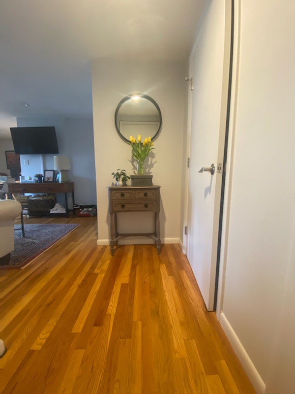 1 bed, 1 bath apartment for rent at 15 Euston Rd Unit 15, Brighton — photo 5 of 19