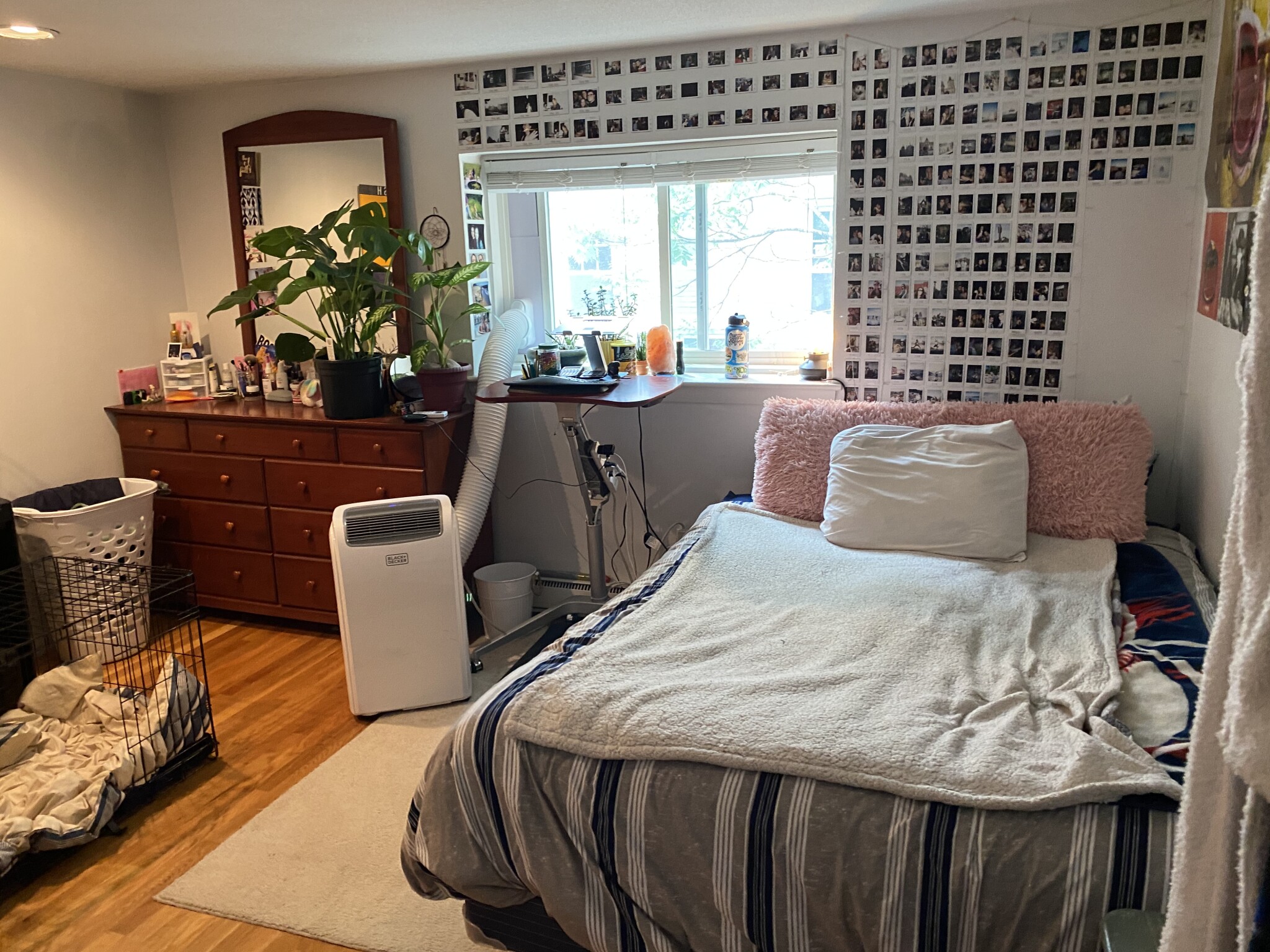 1 bed, 1 bath apartment for rent at 15 Euston Rd Unit 24, Brighton — photo 2 of 6