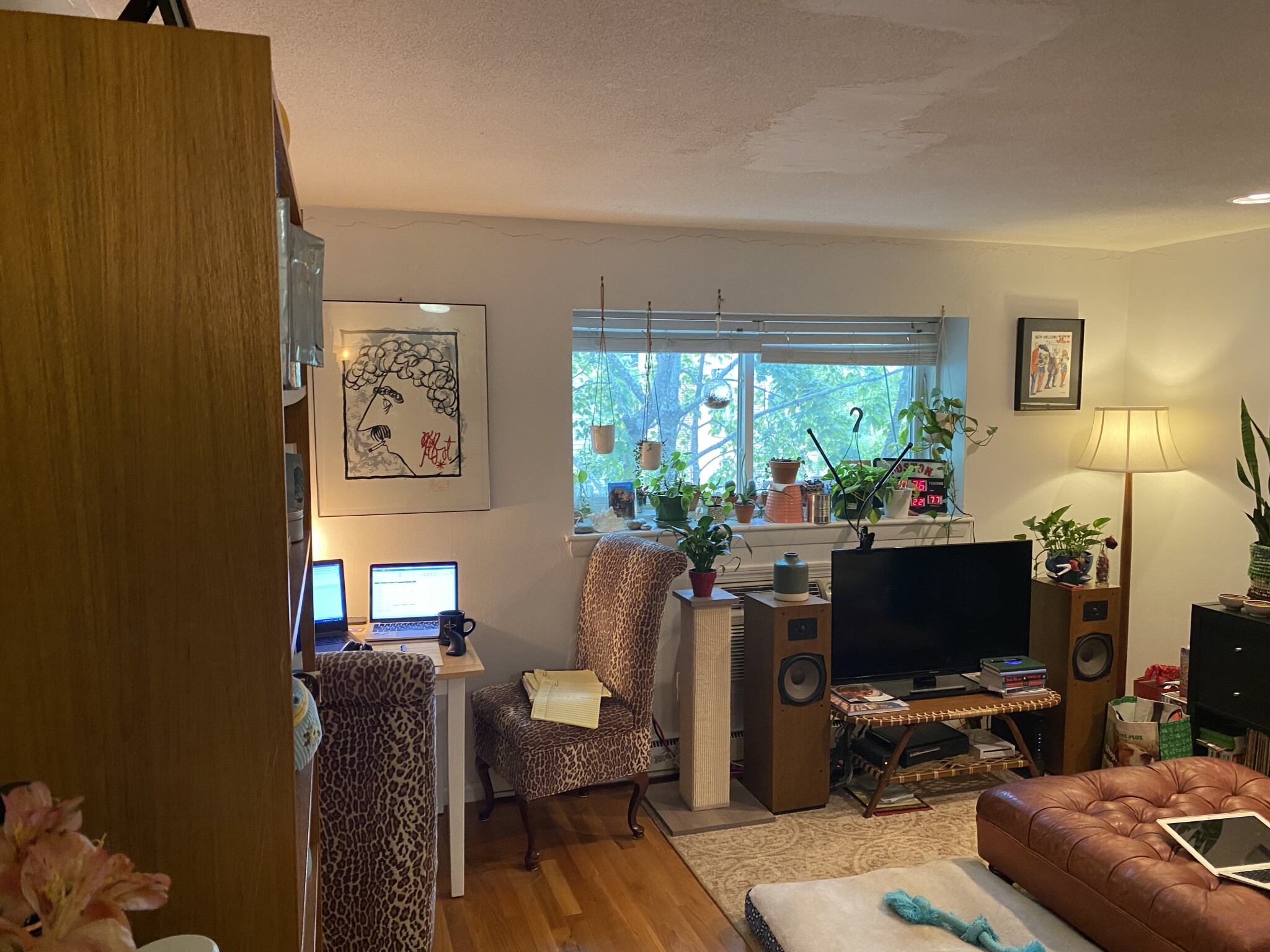 1 bed, 1 bath apartment for rent at 15 Euston Rd Unit 24, Brighton — photo 1 of 6
