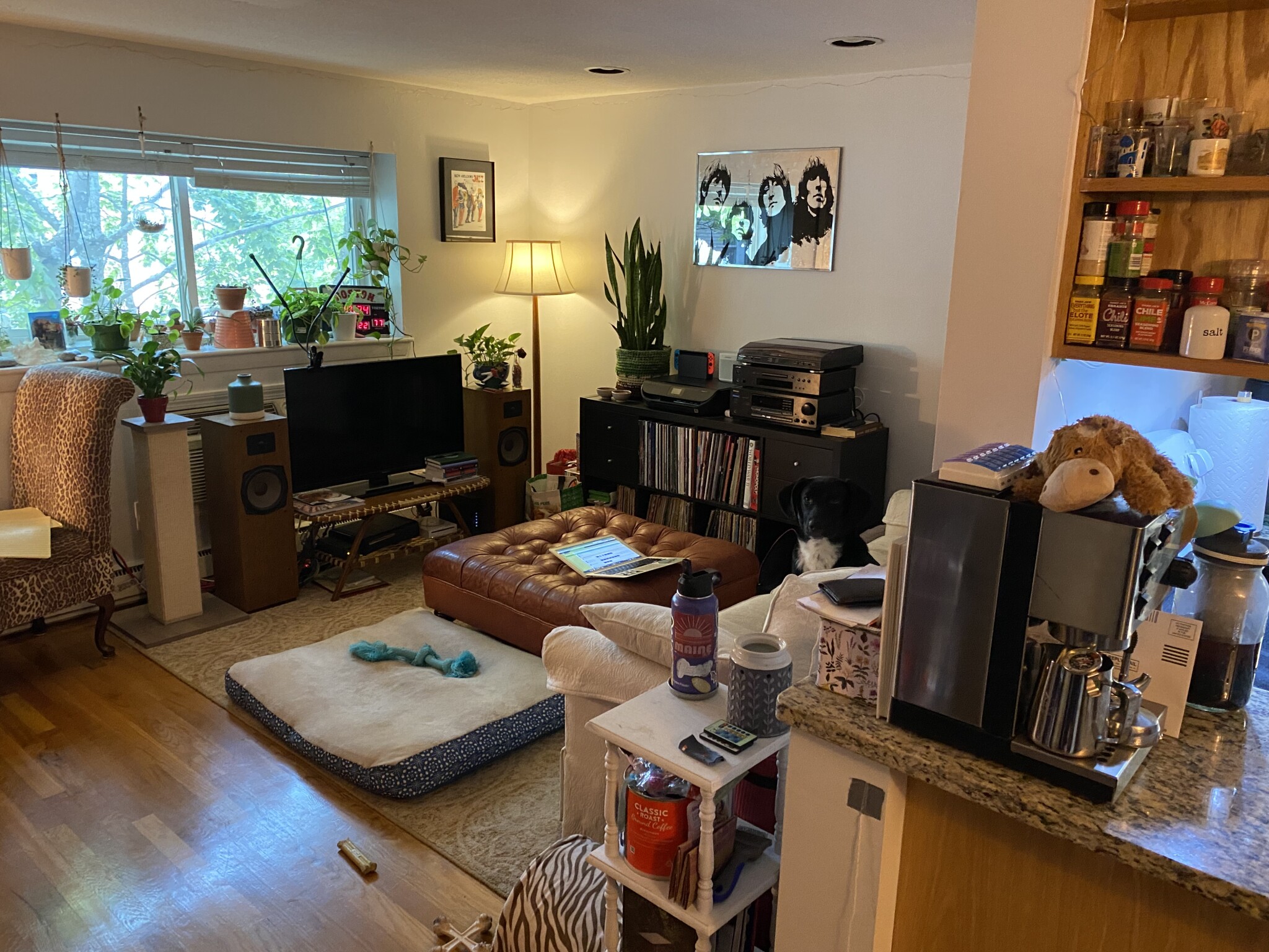 1 bed, 1 bath apartment for rent at 15 Euston Rd Unit 24, Brighton — photo 6 of 6