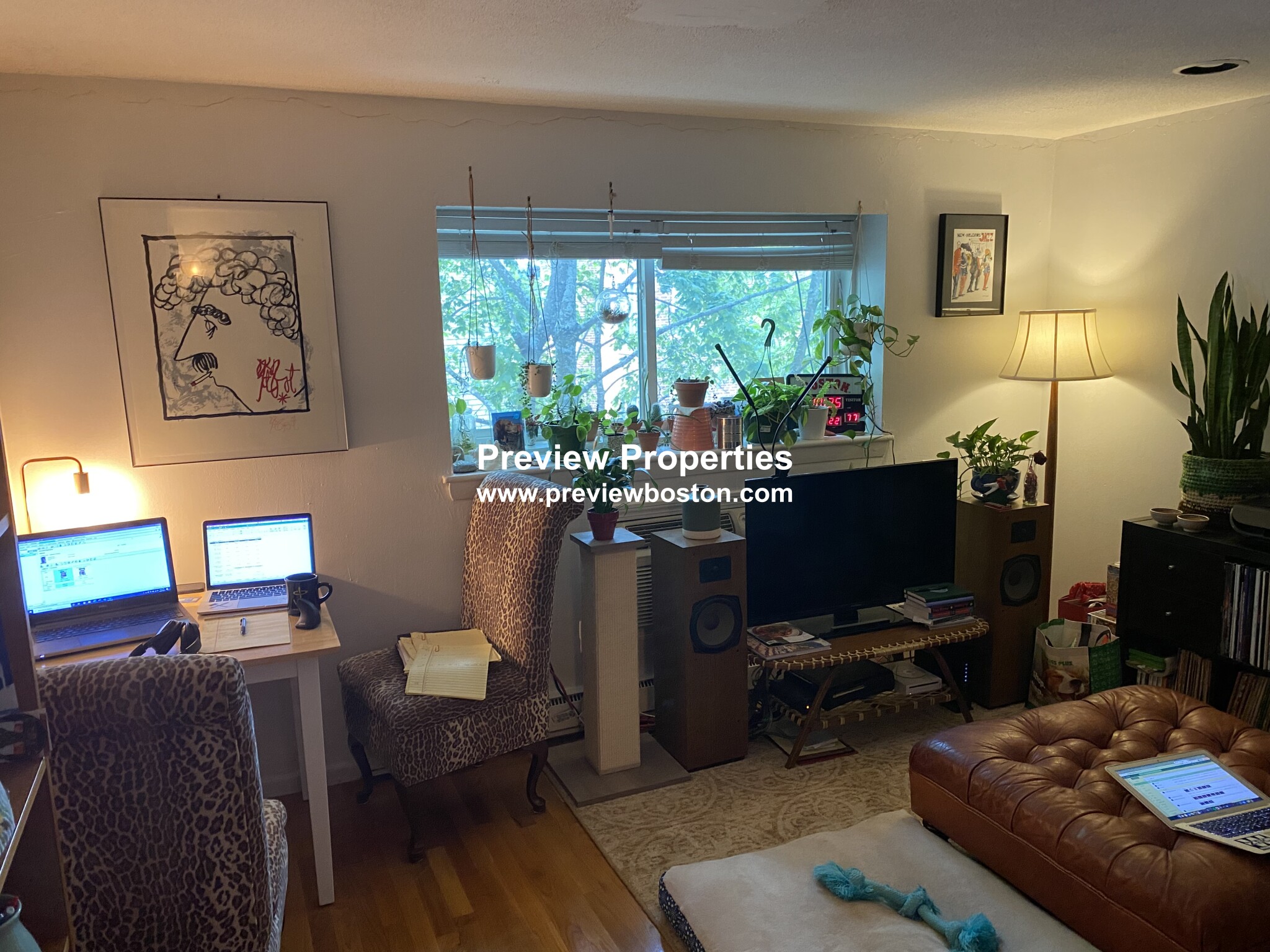 1 bed, 1 bath apartment for rent at 15 Euston Rd Unit 24P, Brighton — photo 5 of 30