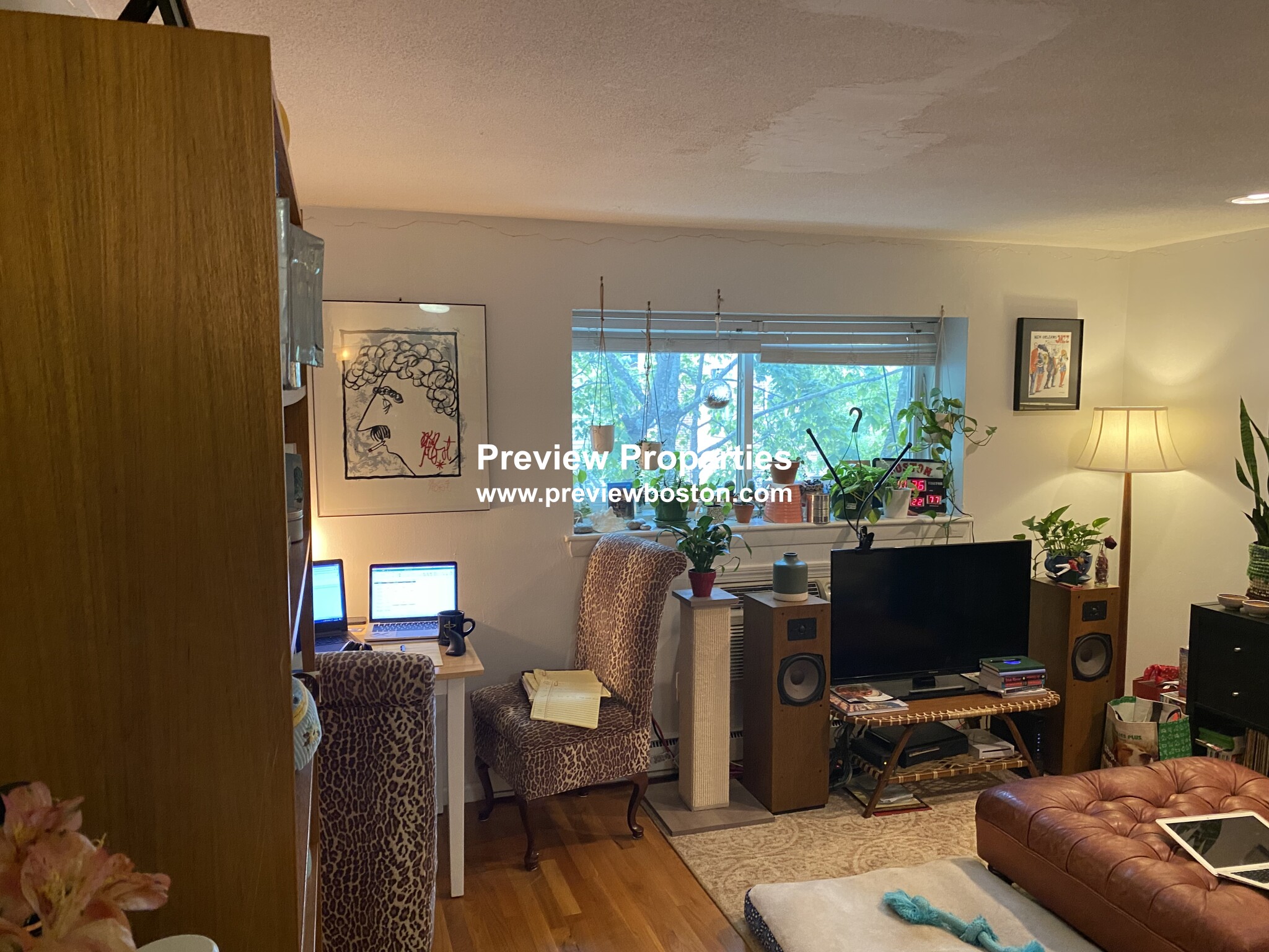 1 bed, 1 bath apartment for rent at 15 Euston Rd Unit 24P, Brighton — photo 2 of 30