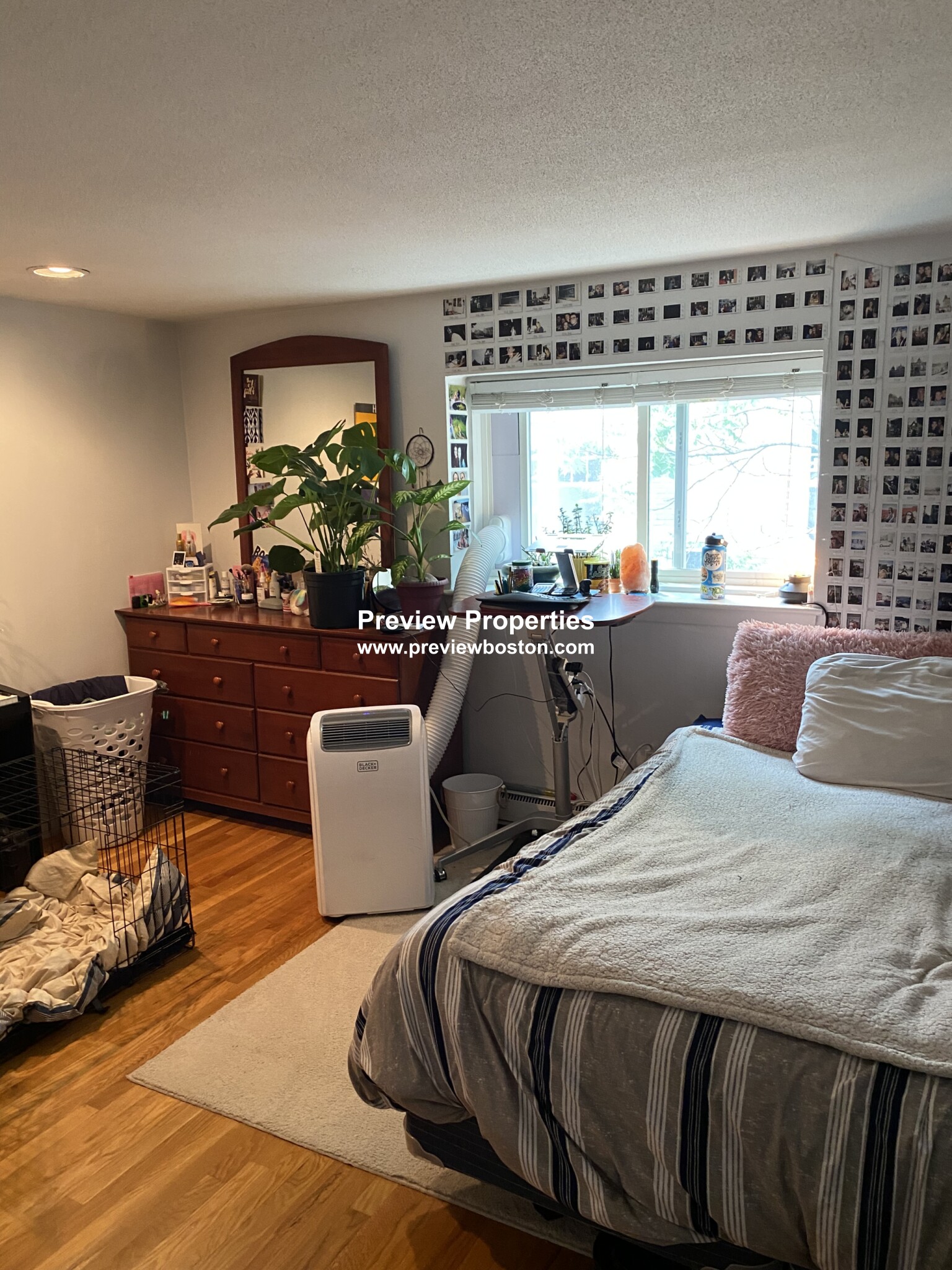 1 bed, 1 bath apartment for rent at 15 Euston Rd Unit 24P, Brighton — photo 8 of 30