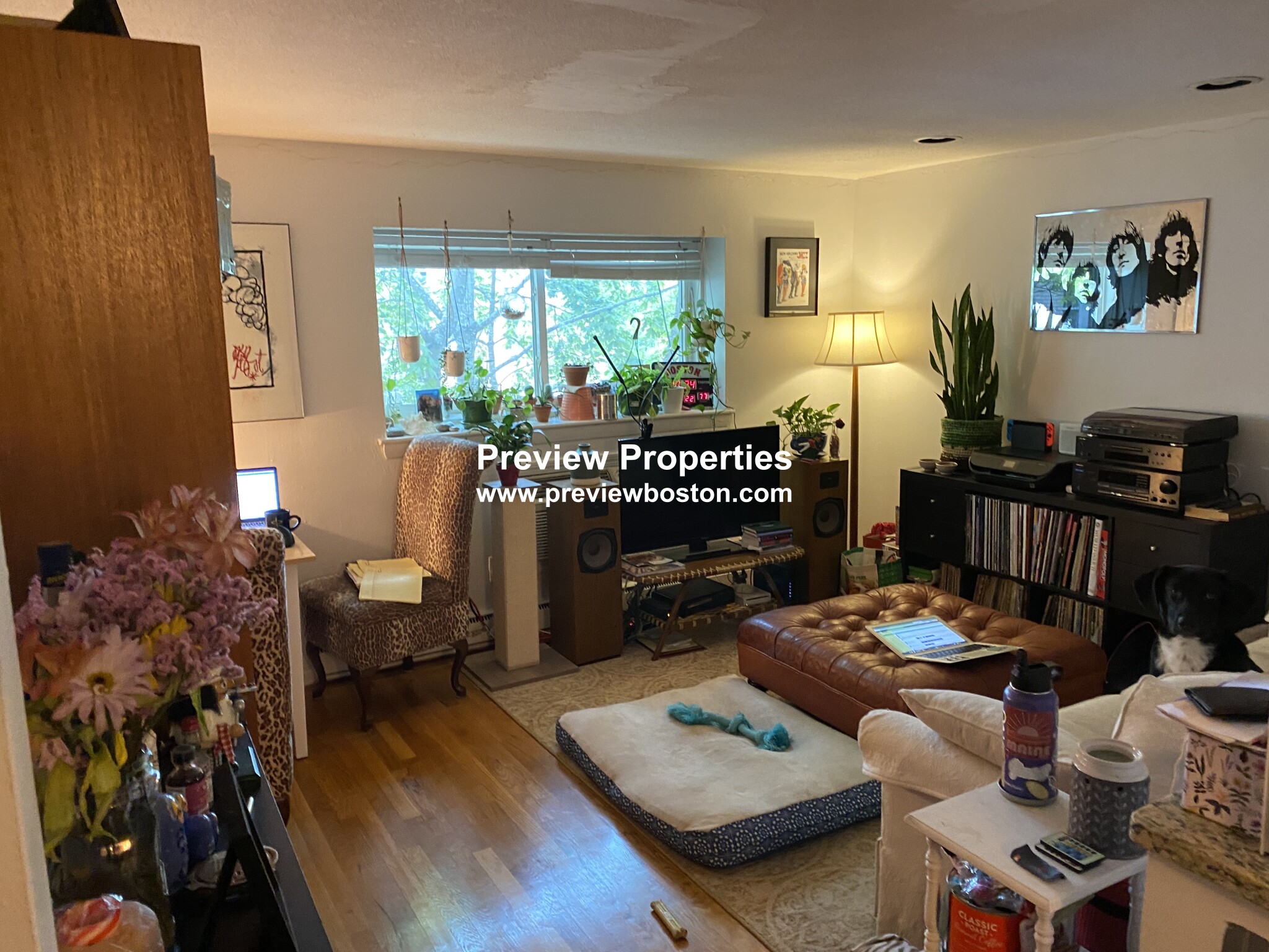 1 bed, 1 bath apartment for rent at 15 Euston Rd Unit 24P, Brighton — photo 16 of 30