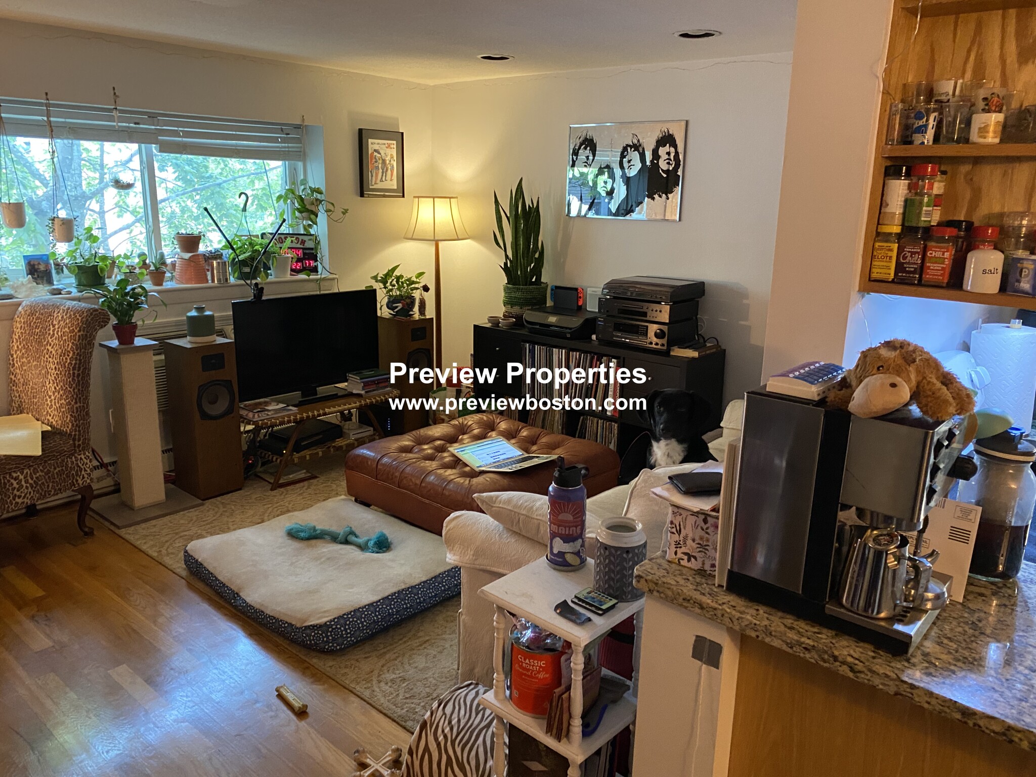 1 bed, 1 bath apartment for rent at 15 Euston Rd Unit 24P, Brighton — photo 20 of 30