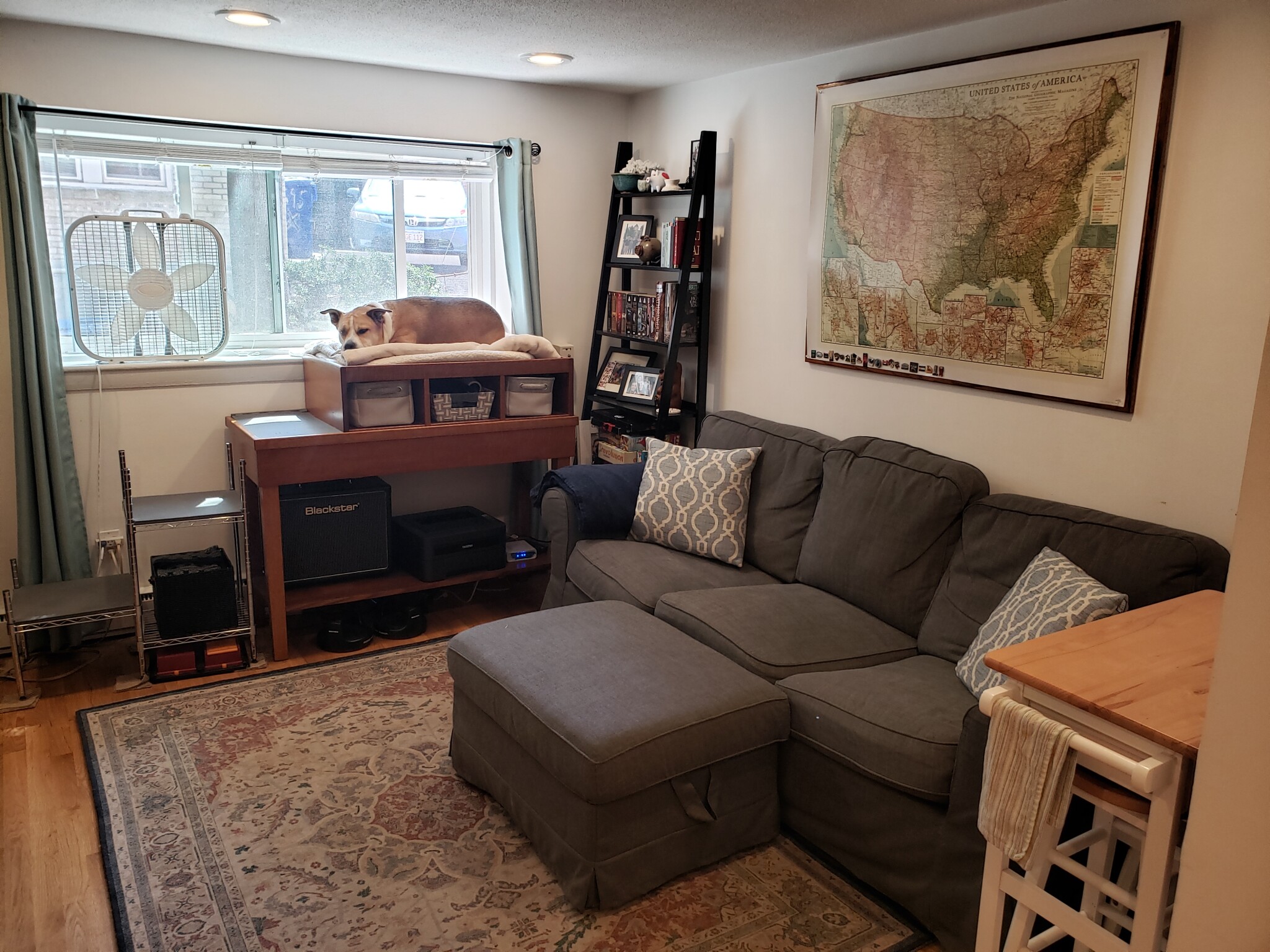 1 bed, 1 bath apartment for rent at 15 Euston Rd Unit 6, Brighton — photo 2 of 4