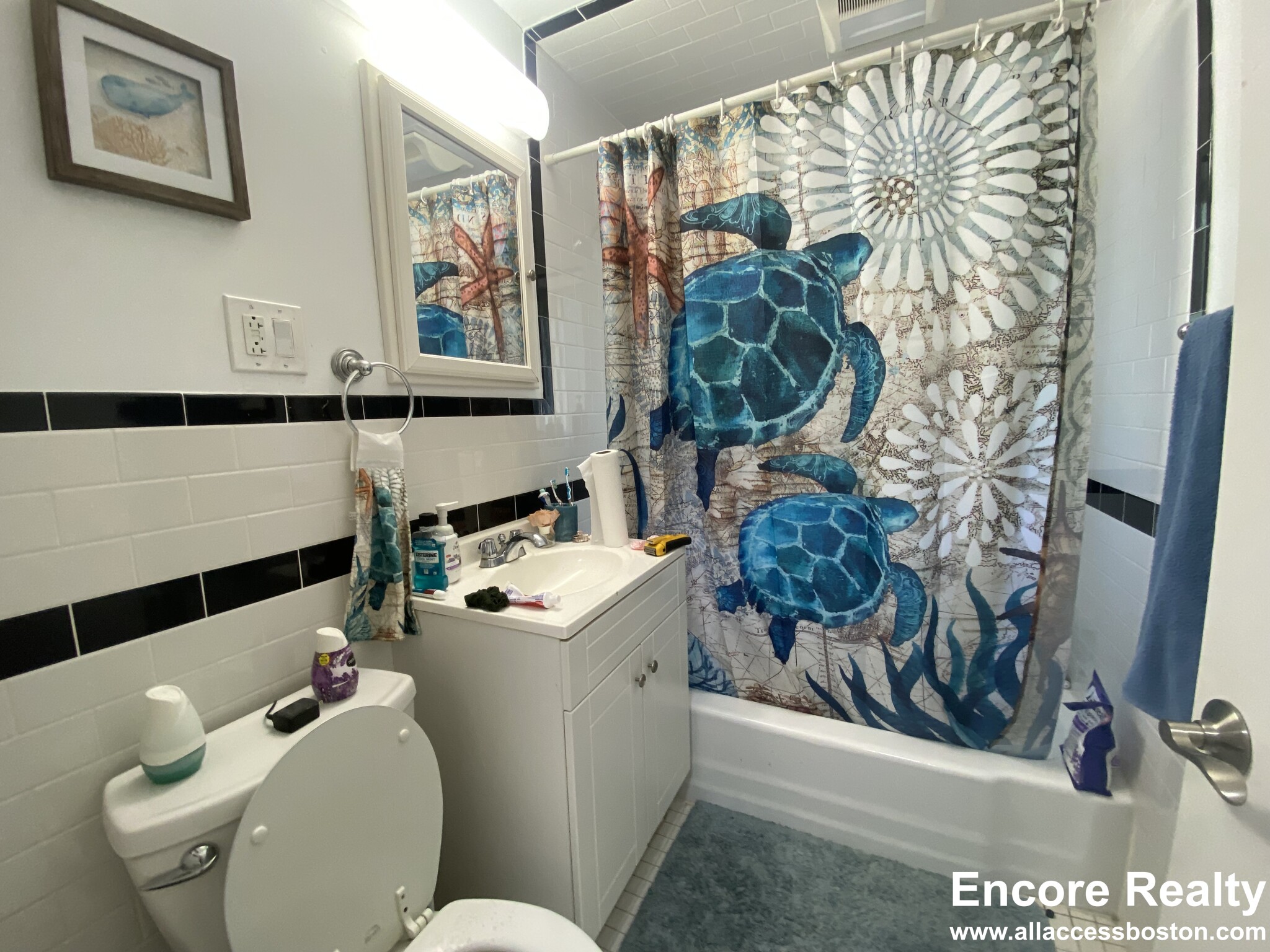 1 bed, 1 bath apartment for rent at 15 Euston Rd Unit 9, Brighton — photo 4 of 5