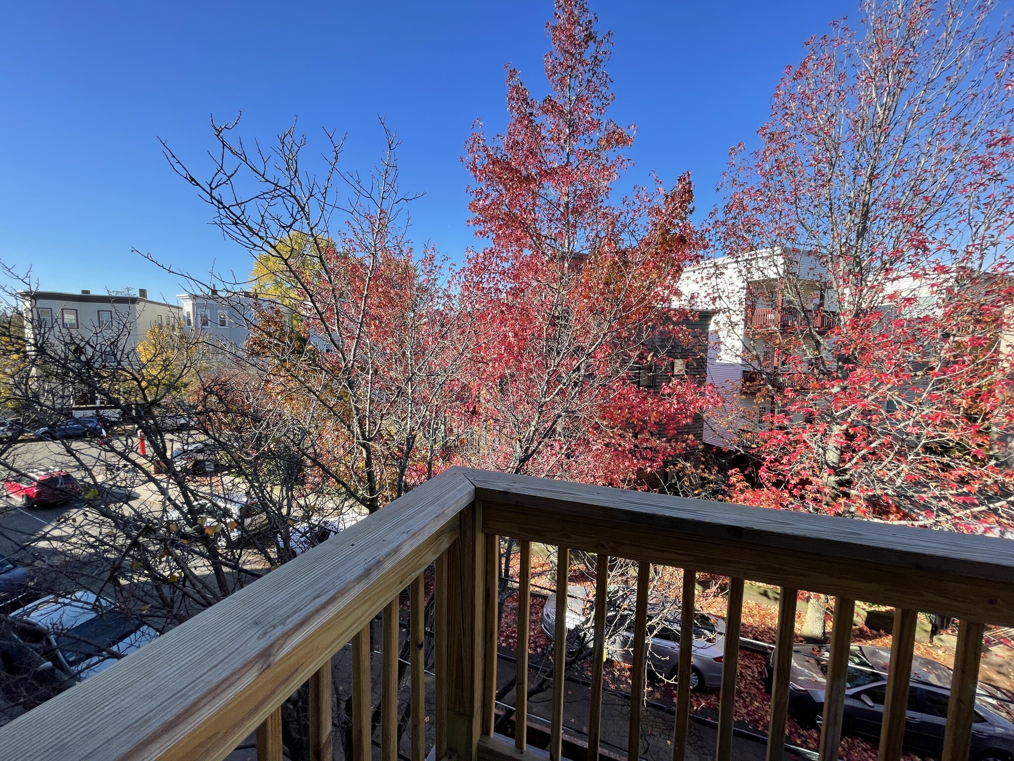 4 bed, 2 bath apartment for rent at 15 Harold St Unit 15, Ward Two — photo 25 of 27