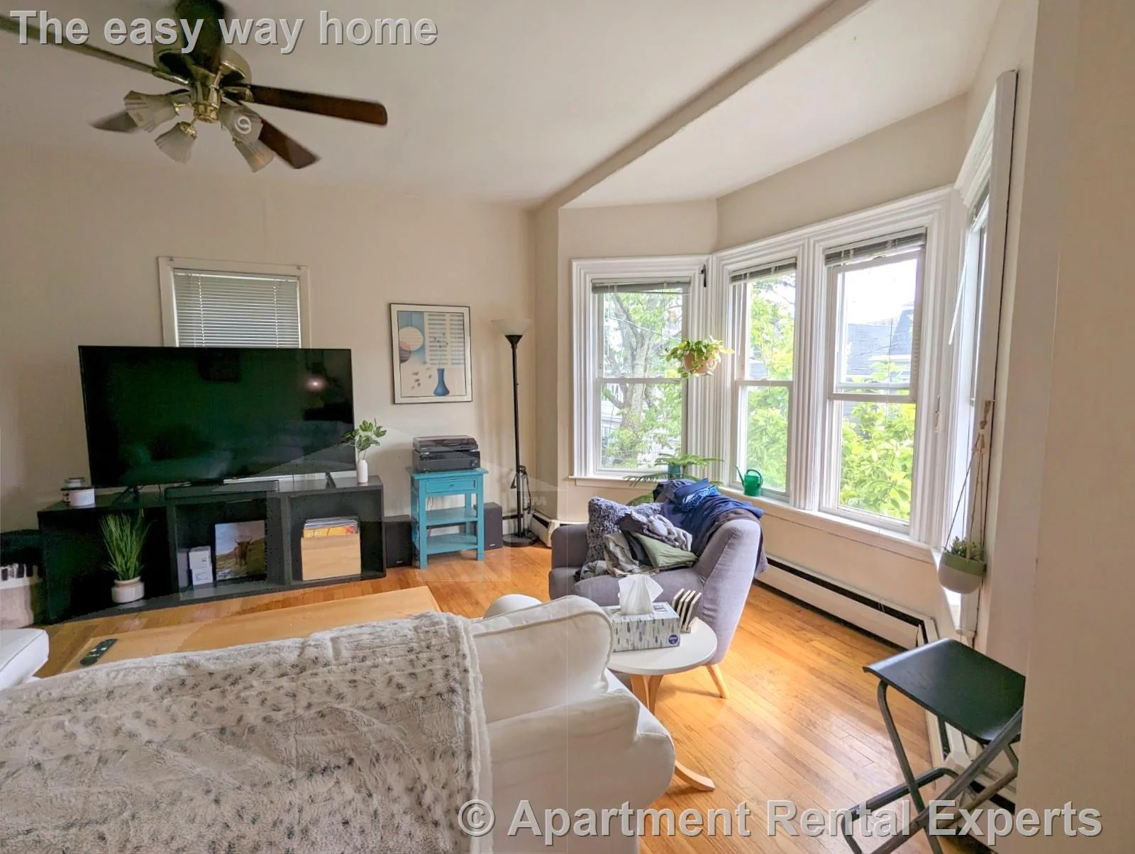 1 bed, 1 bath apartment for rent at 15 Howe St Unit 2, Winter Hill — photo 3 of 15