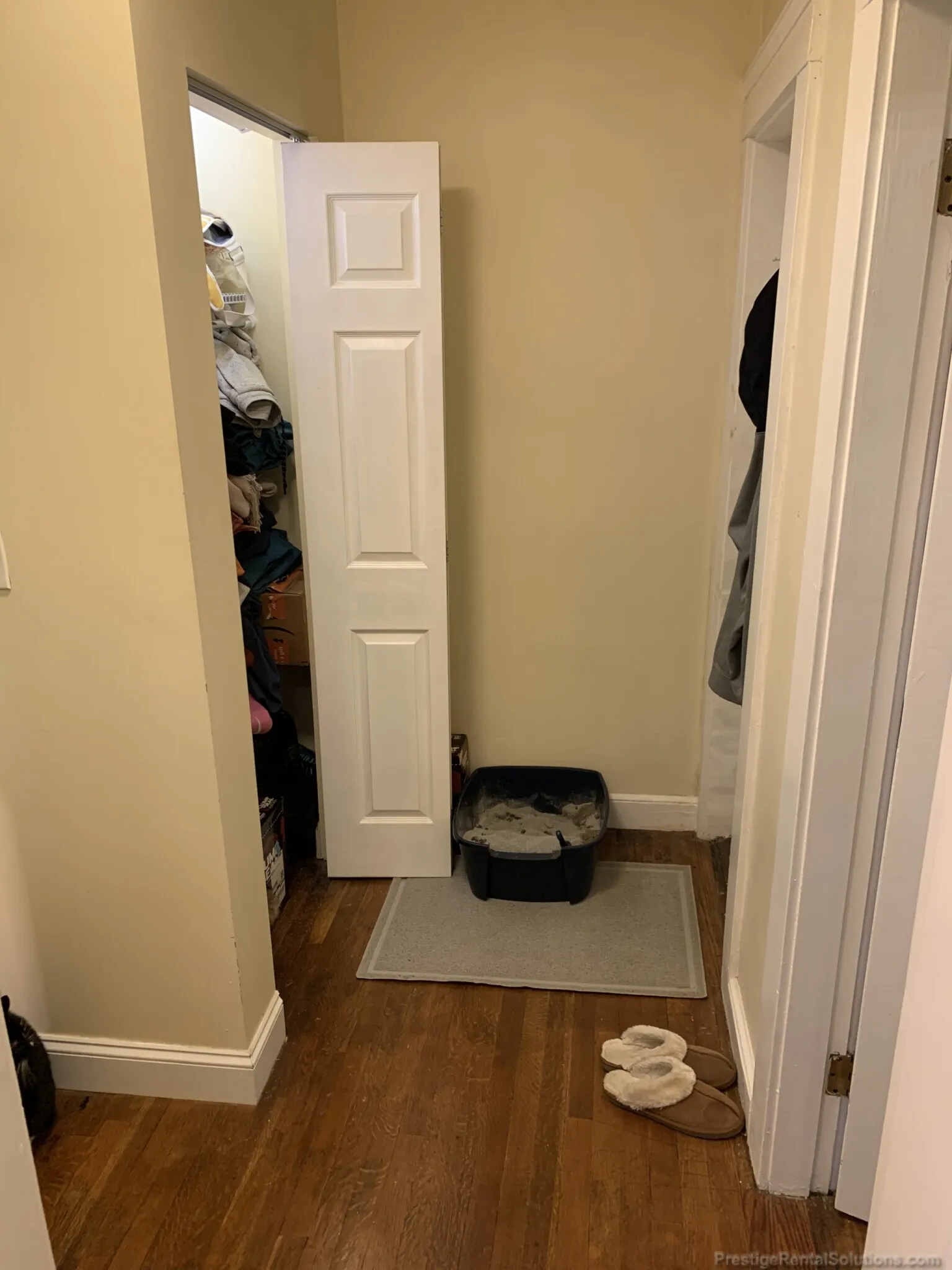 1 bed, 1 bath apartment for rent at 15 Lee St Unit 3L, Jamaica Plain — photo 13 of 17
