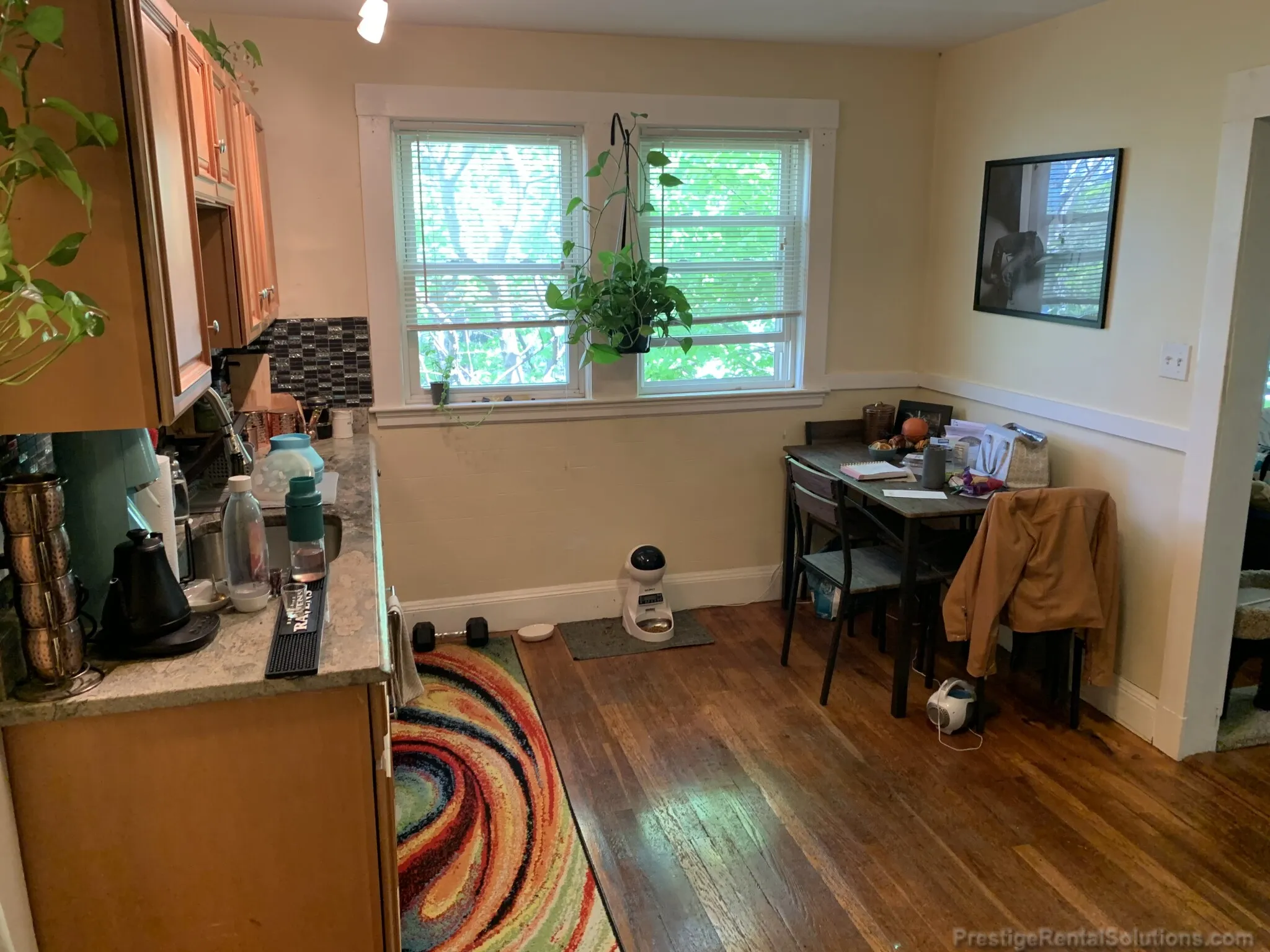 1 bed, 1 bath apartment for rent at 15 Lee St Unit 3L, Jamaica Plain — photo 4 of 17