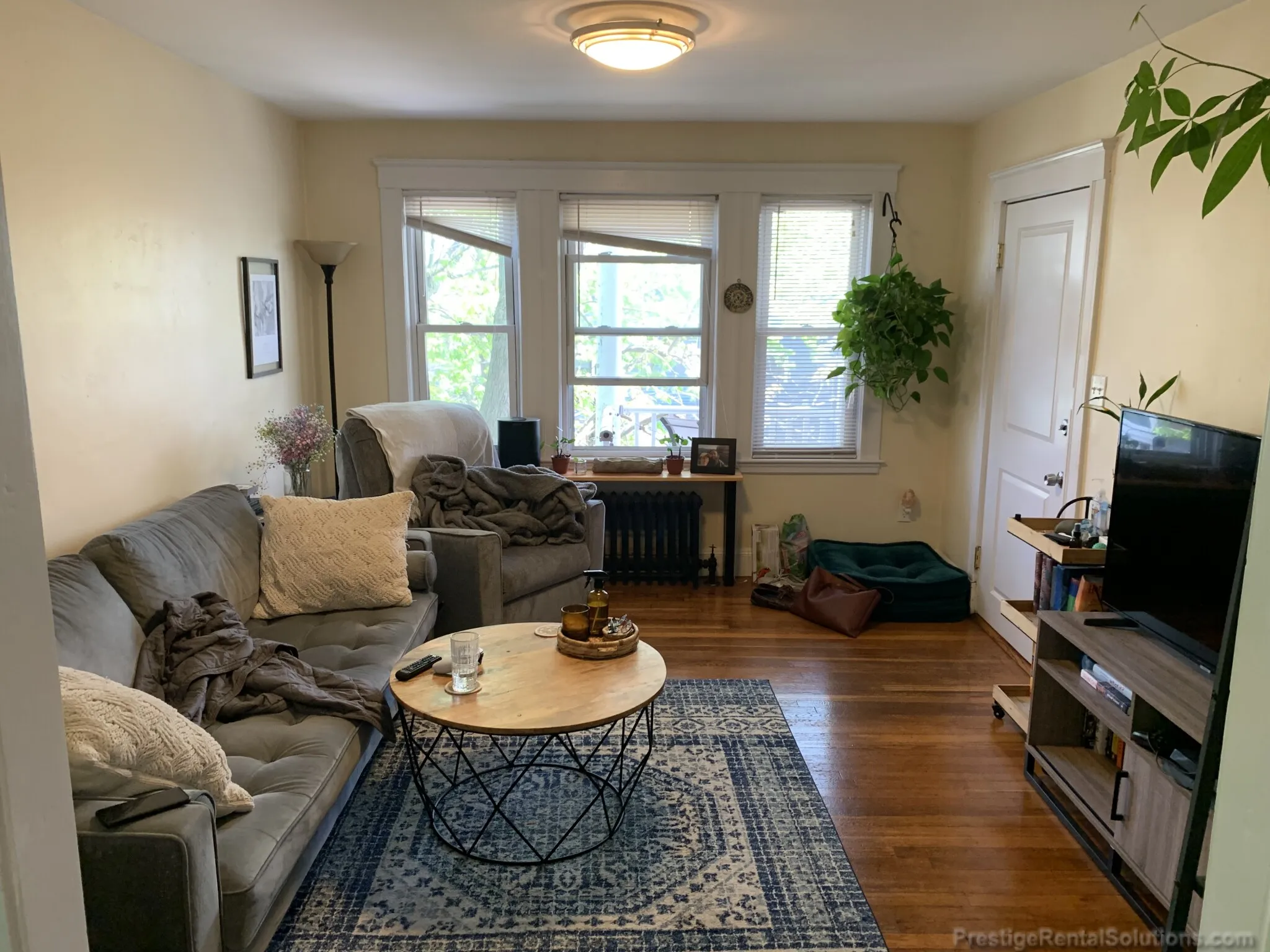 1 bed, 1 bath apartment for rent at 15 Lee St Unit 3L, Jamaica Plain — photo 9 of 17