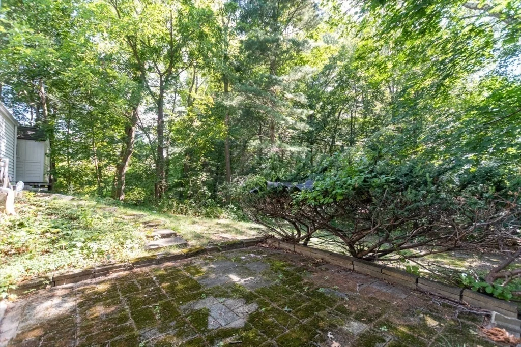 3 bed, 1 bath apartment for rent at 15 Lexington St, Burlington — photo 36 of 40