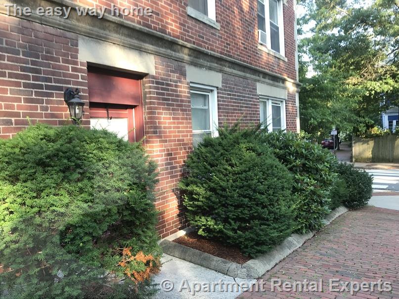 2 bed, 1 bath apartment for rent at 15 Linnaean St Unit 21, Porter Square — photo 6 of 11