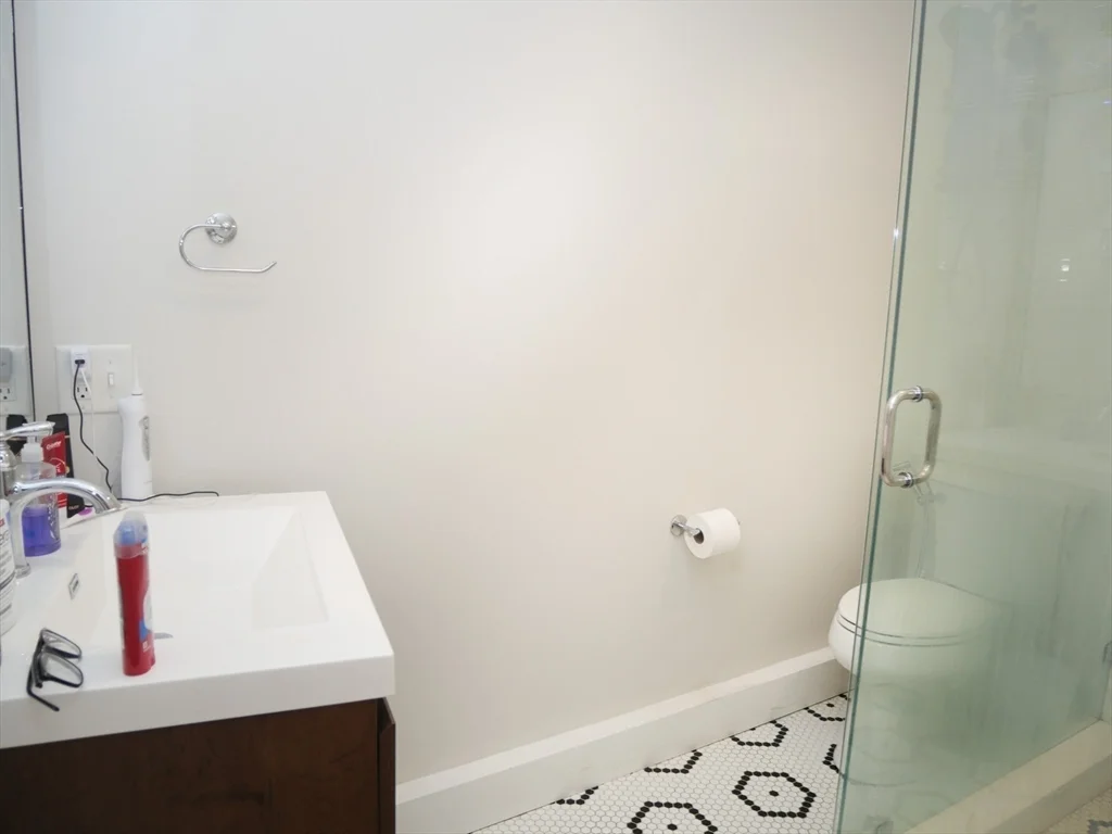 3 bed, 2 bath apartment for rent at 15 Maywood Unit 1, Roxbury — photo 8 of 12