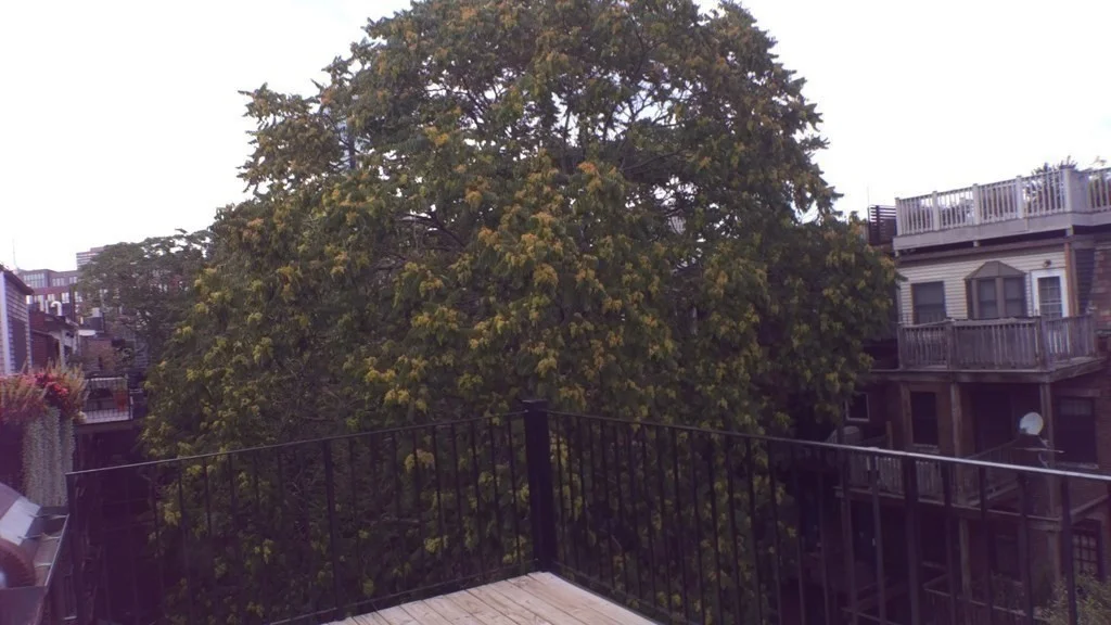 2 bed, 1 bath apartment for rent at 15 Milford St Unit 4, South End — photo 24 of 27