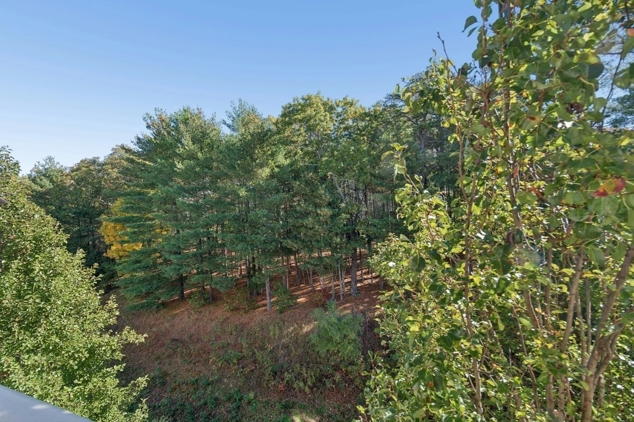 2 bed, 2 bath apartment for rent at 15 Morgan Dr Unit 406, Natick