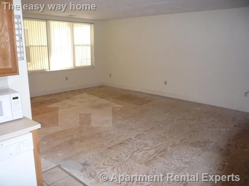 1 bed, 1 bath apartment for rent at 15 Pearl St Unit 13, Central Square — photo 3 of 7