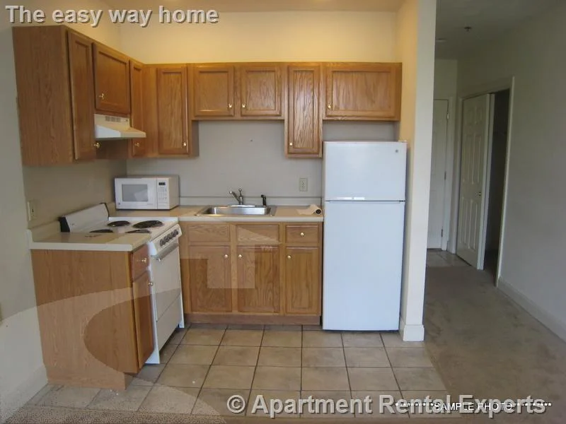 Studio bed, 1 bath apartment for rent at 15 Pearl St Unit 26, Central Square — photo 2 of 6